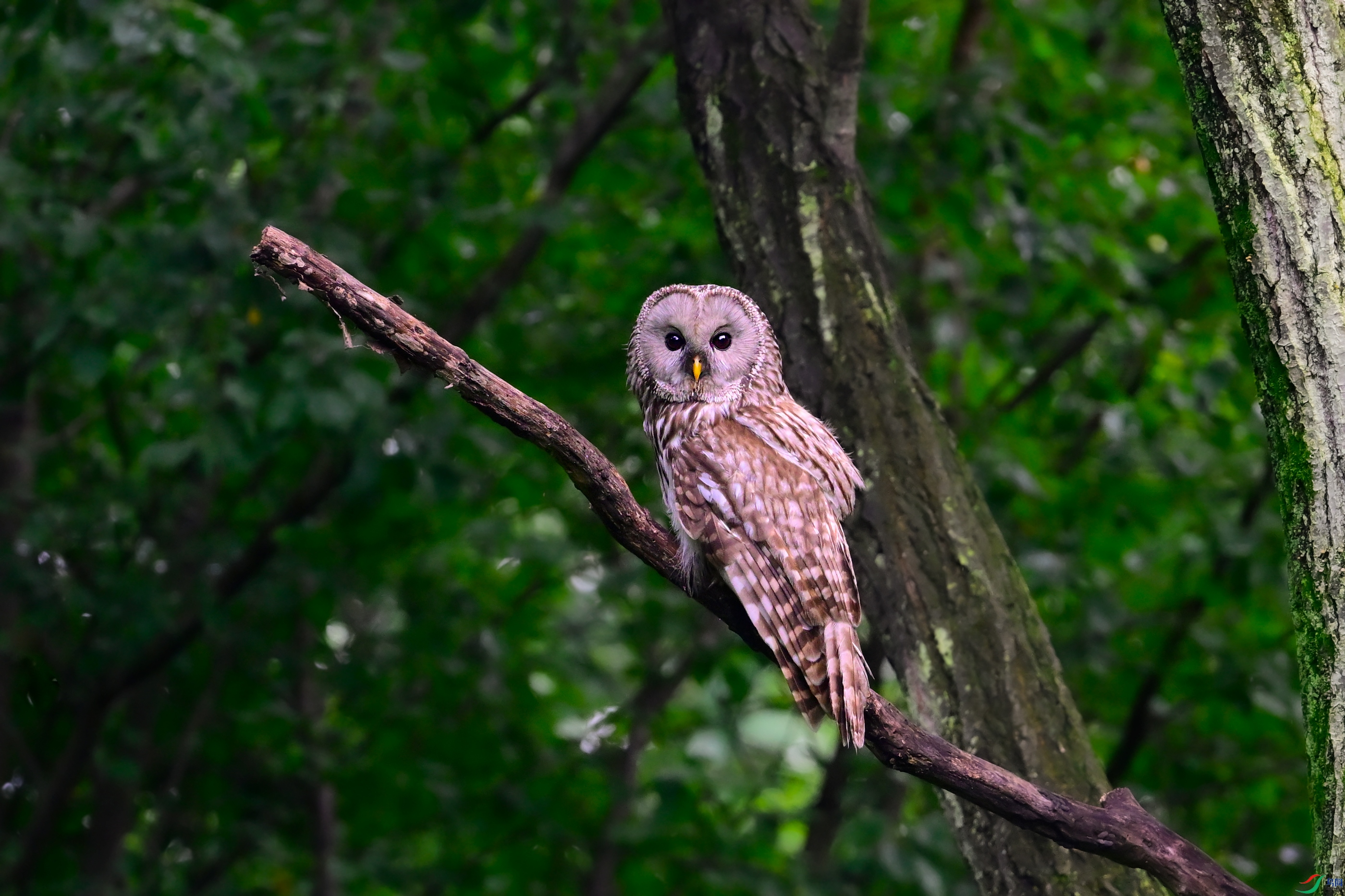 _DSC6055x.jpg