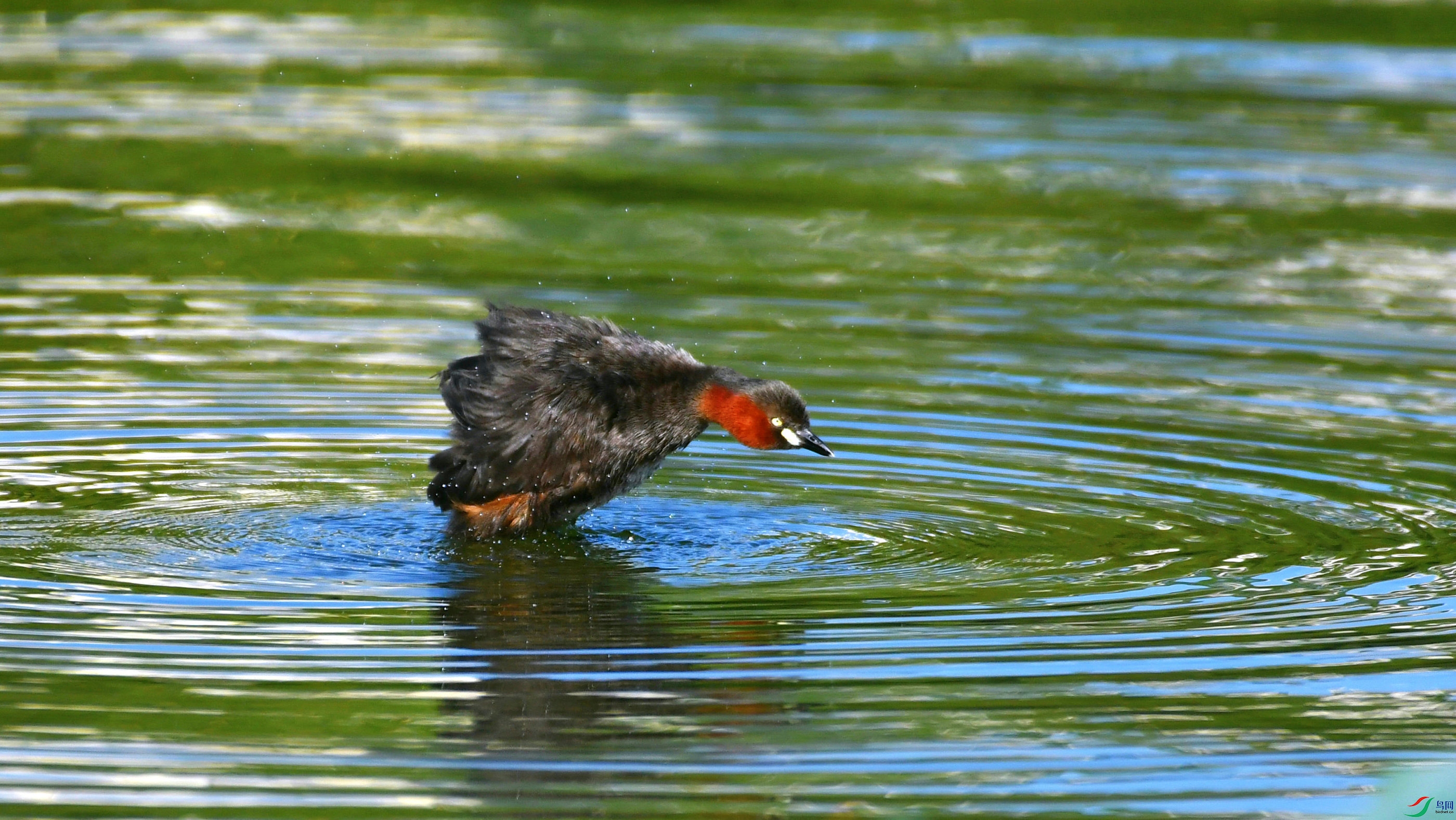 DSC_6764.JPG