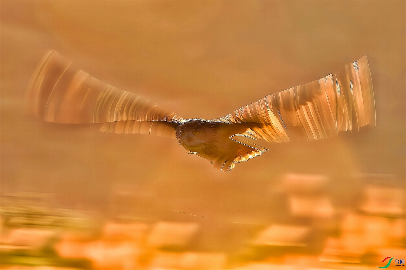 ΢��ͼƬ_20260903194822.jpg