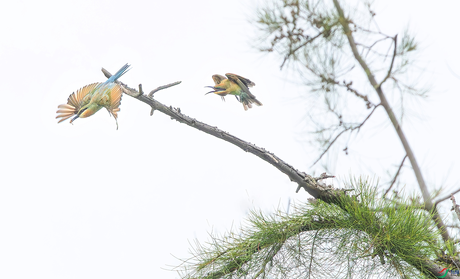 4H8A9463------333   .jpg
