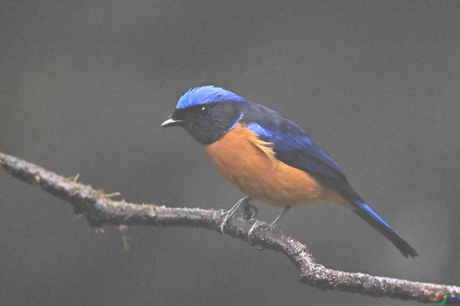 DSC_6870.JPG