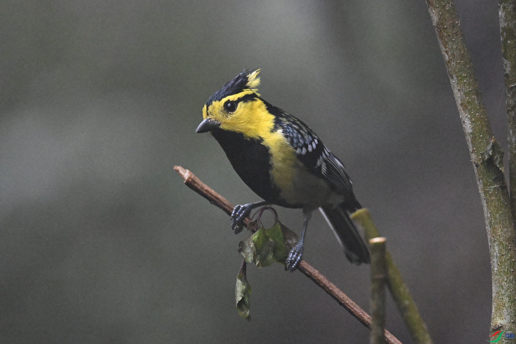 DSC_6873.JPG