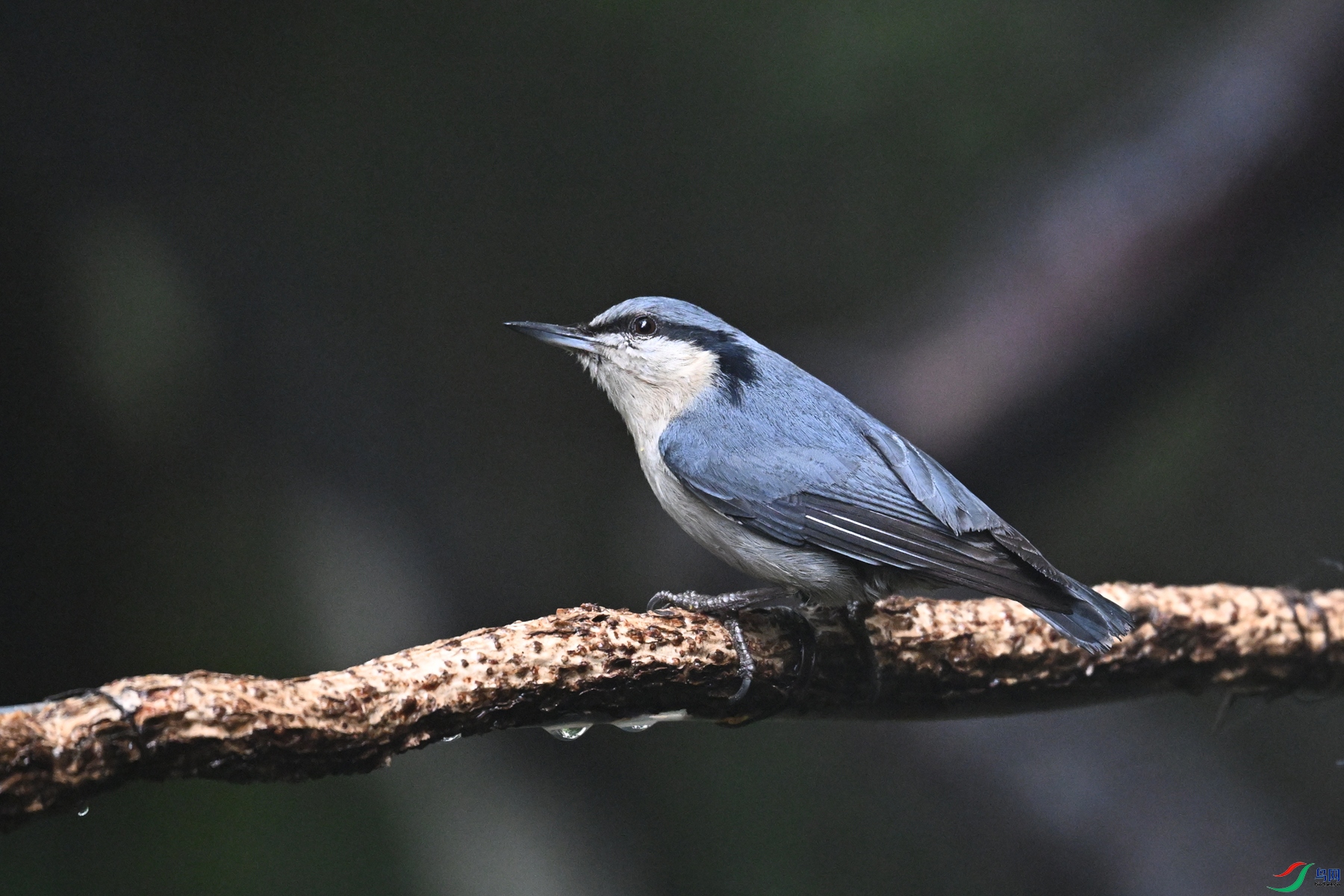DSC_6903.JPG