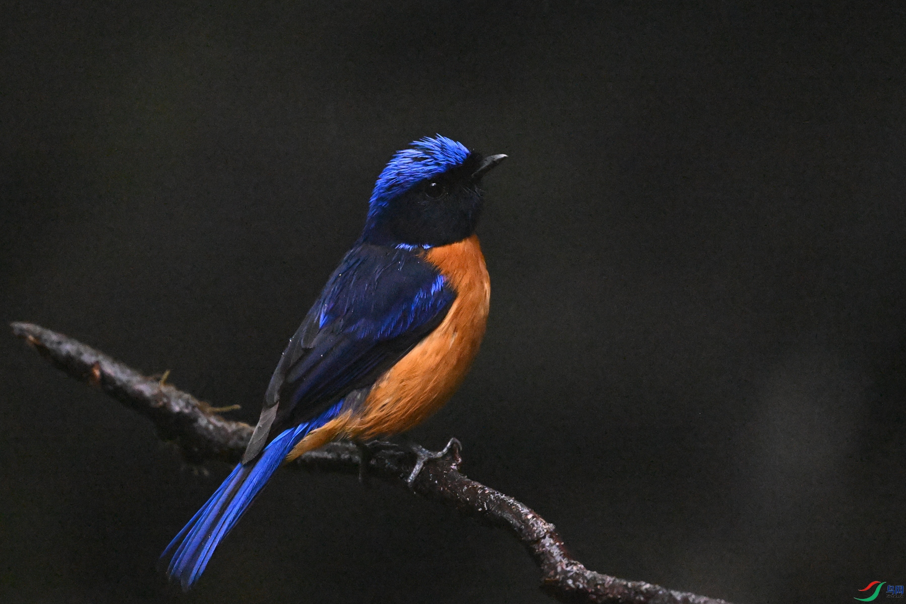 DSC_6847.JPG