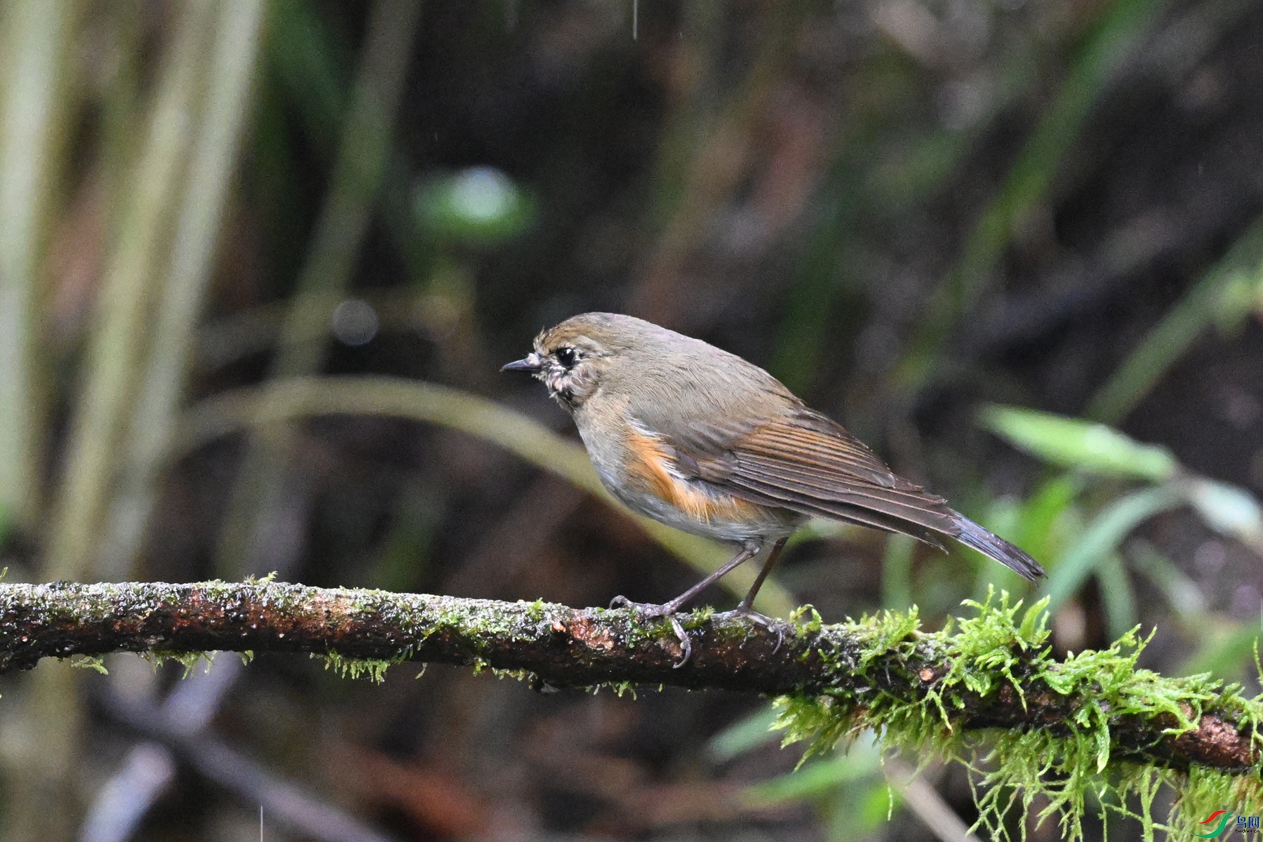 DSC_6848.JPG
