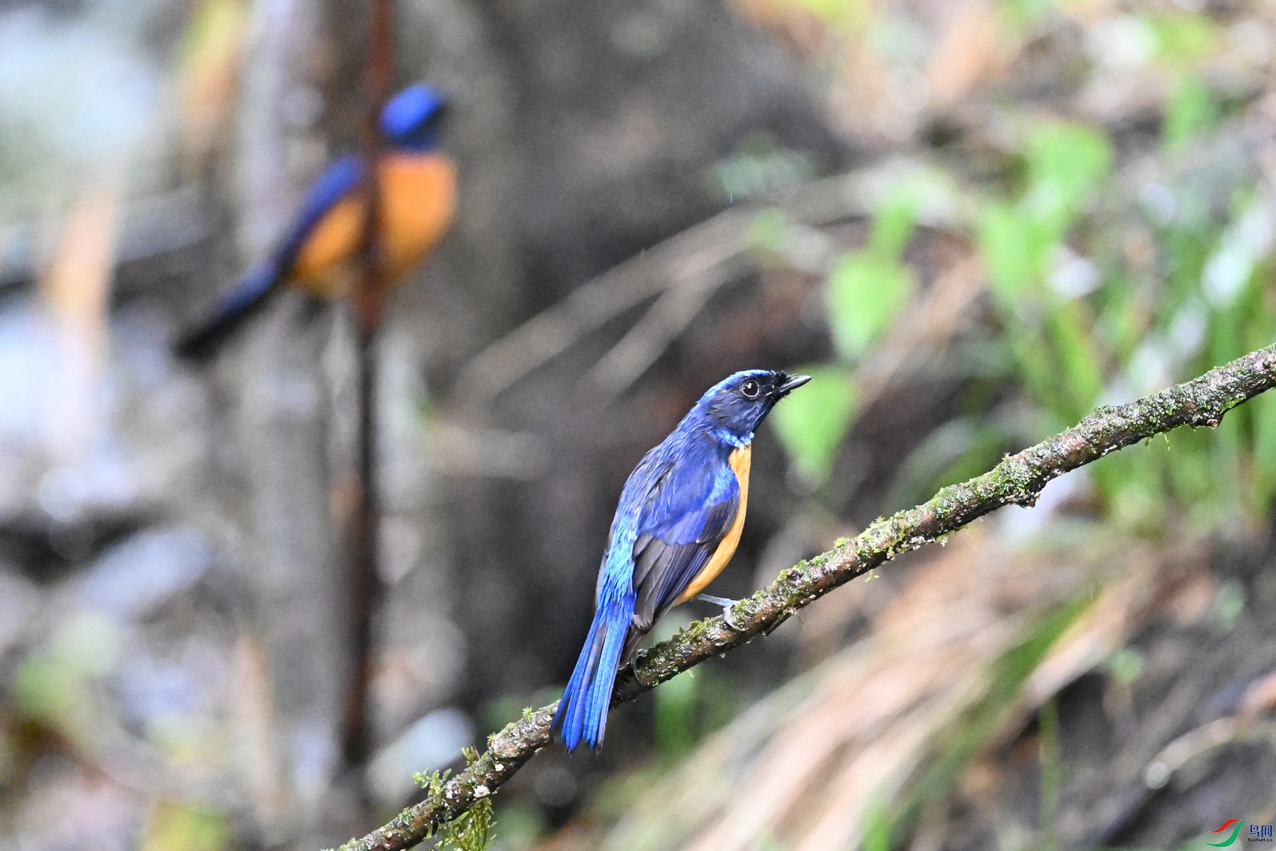 DSC_6855.JPG