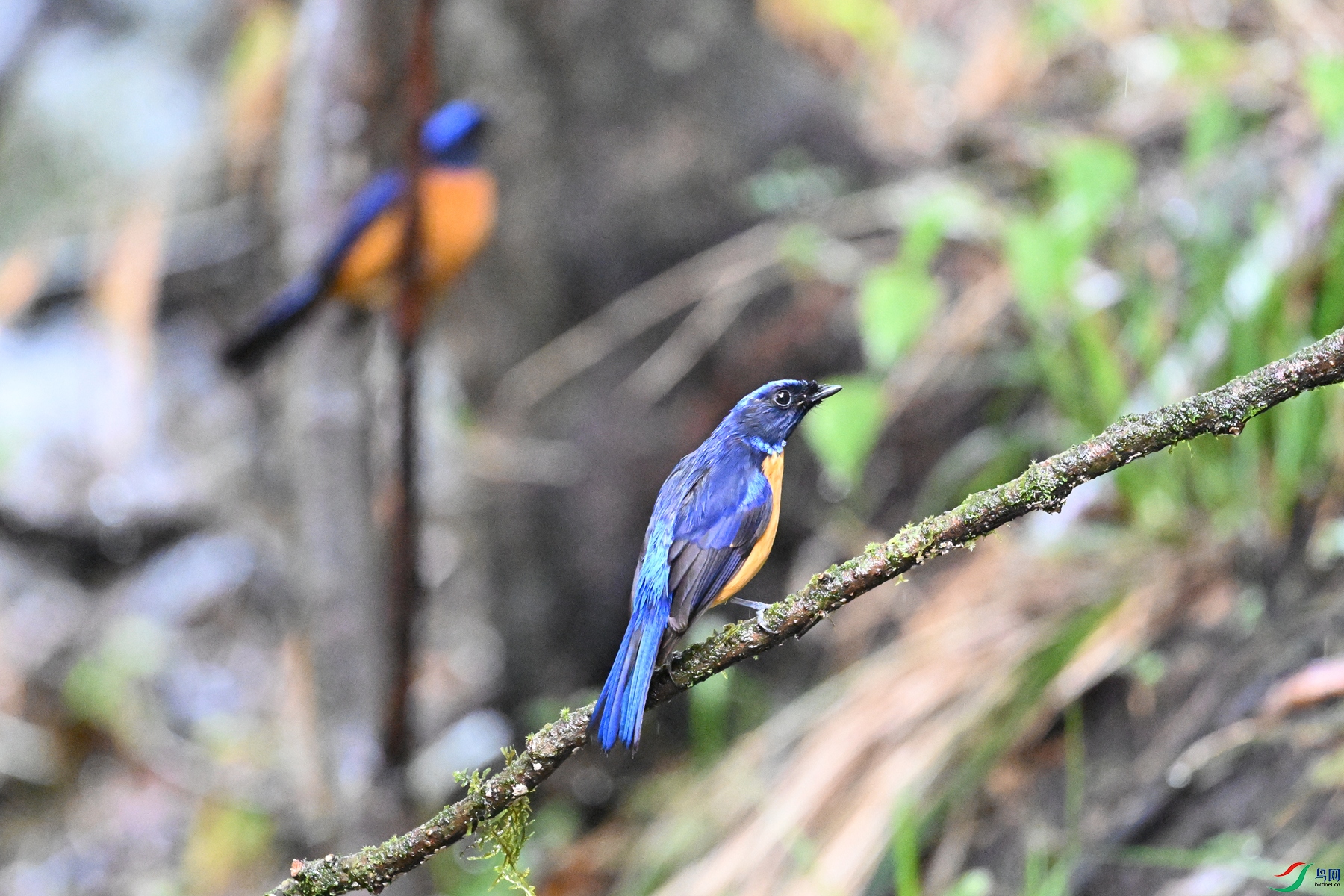 DSC_6857.JPG