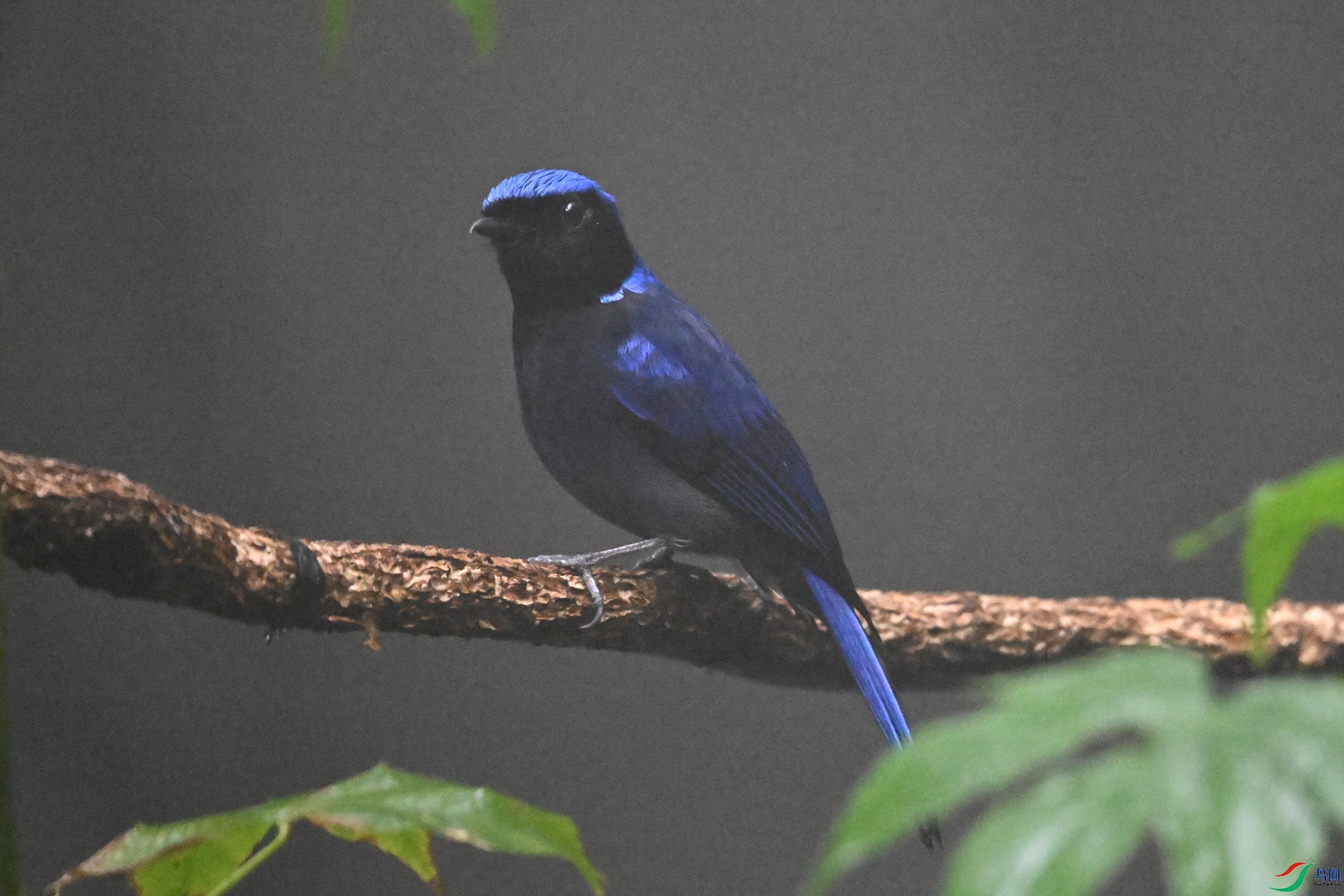 DSC_6862.JPG