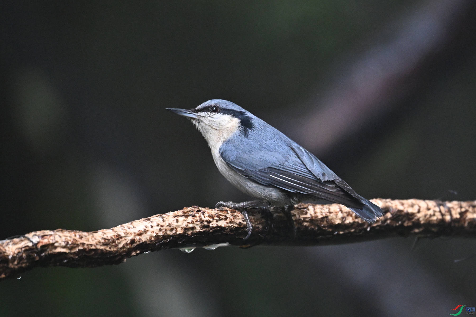 DSC_6902.JPG