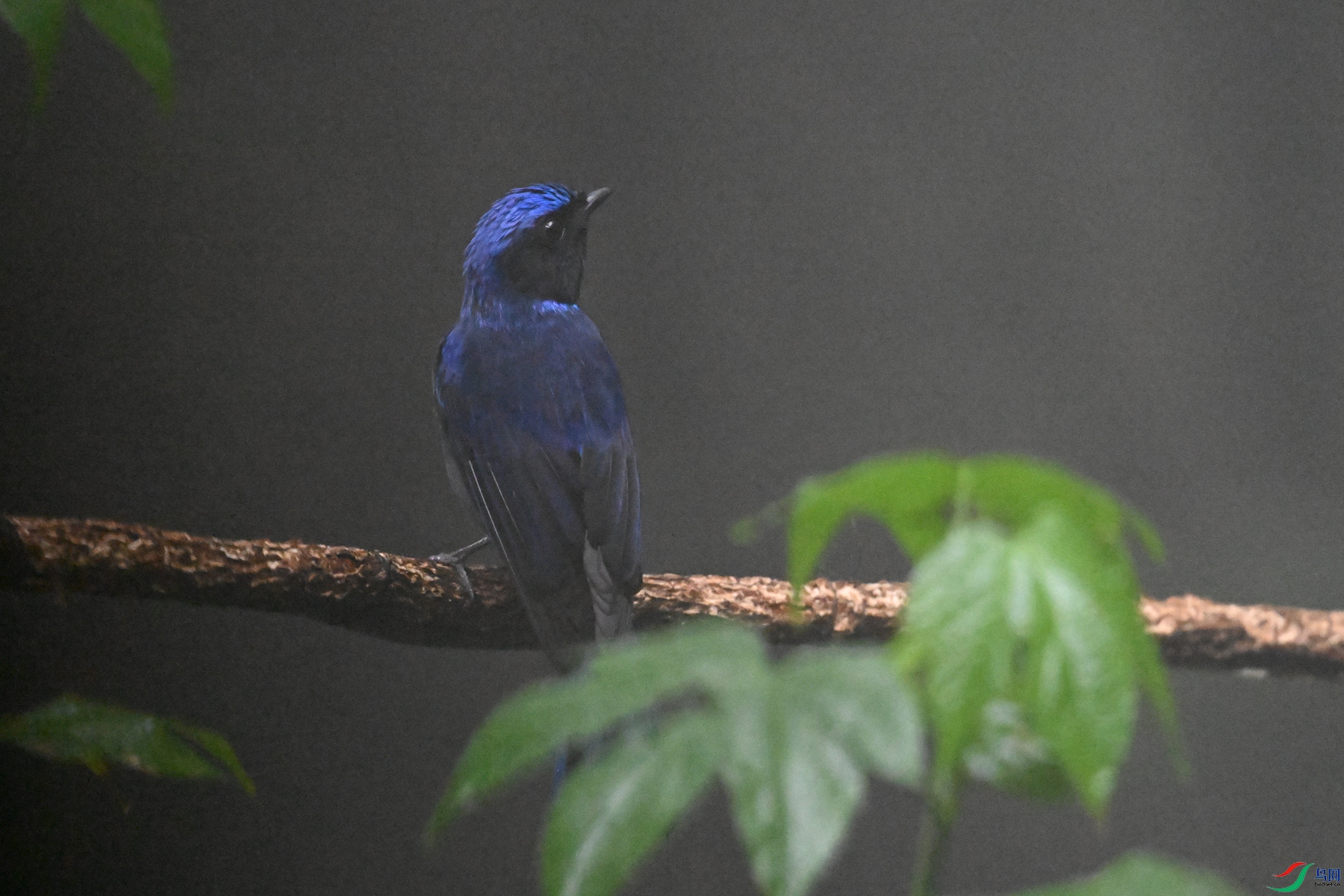 DSC_6865.JPG