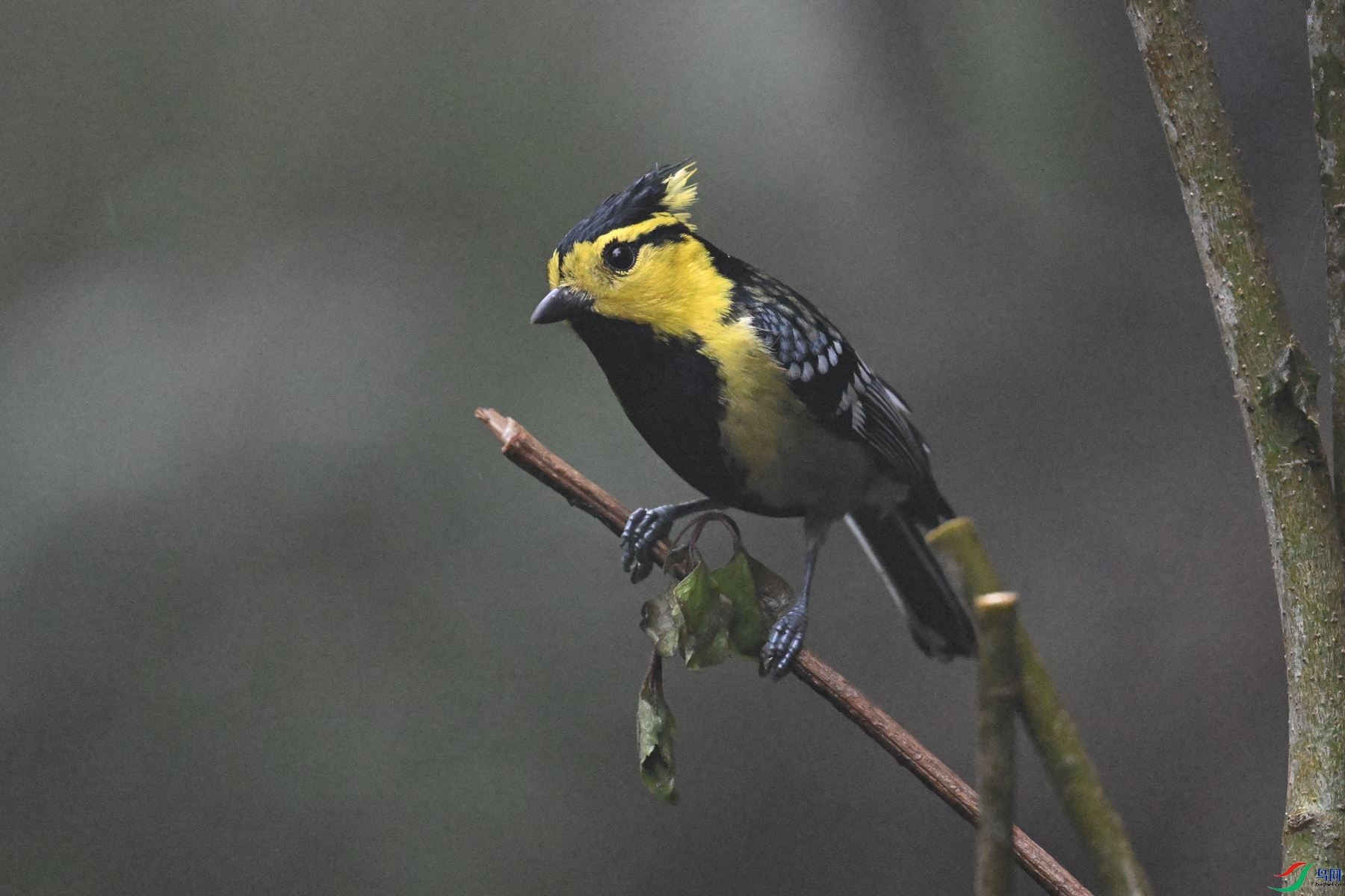 DSC_6874.JPG