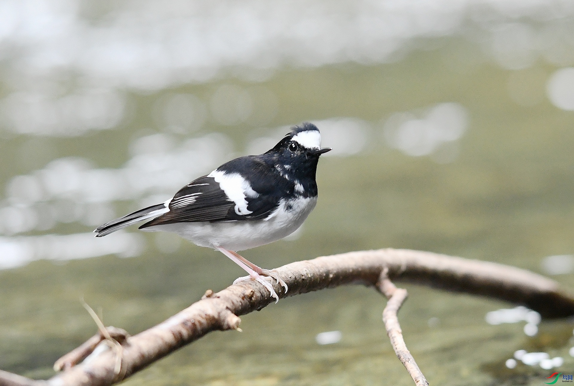 DSC_7165.jpg