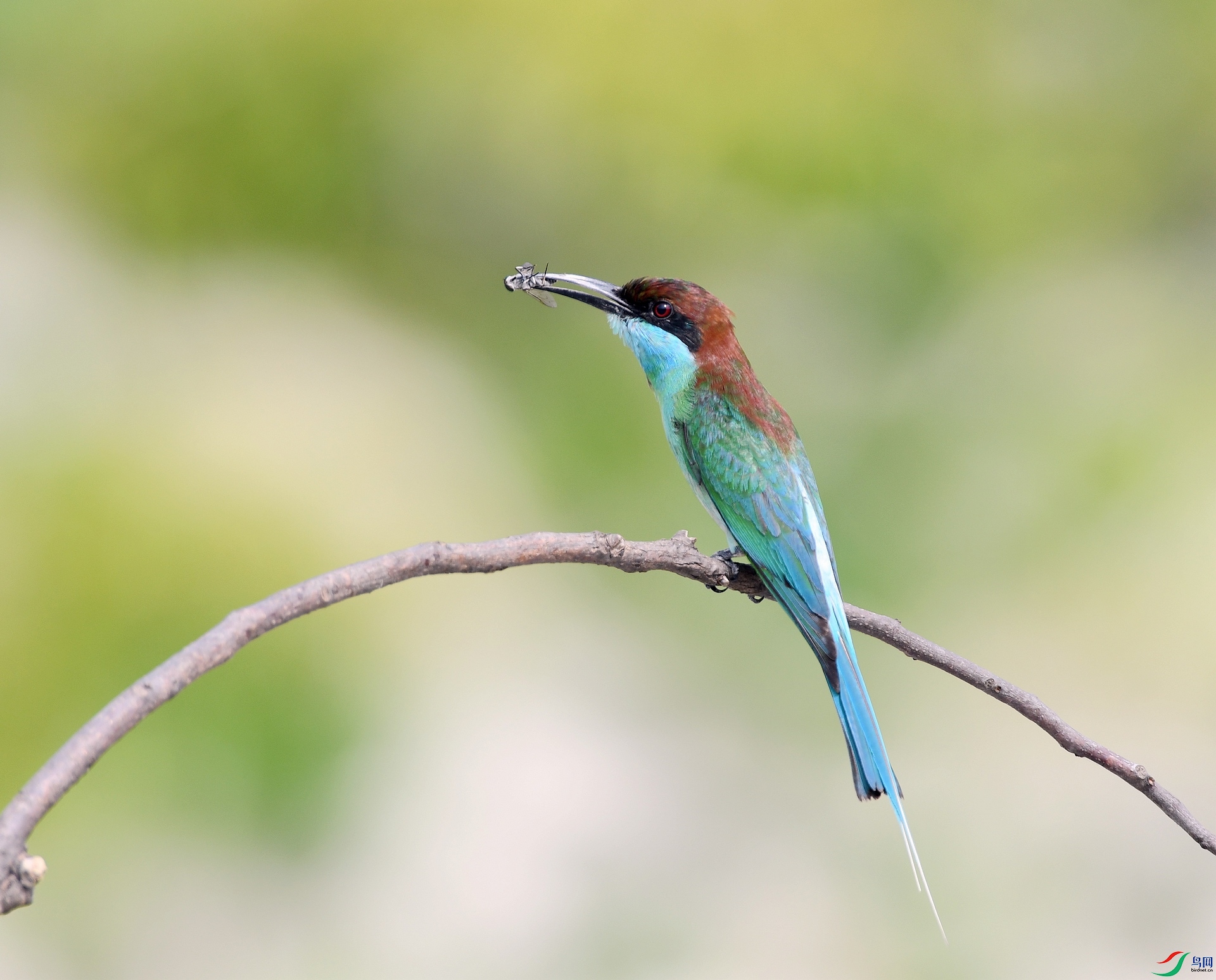 DSC_8307.jpg