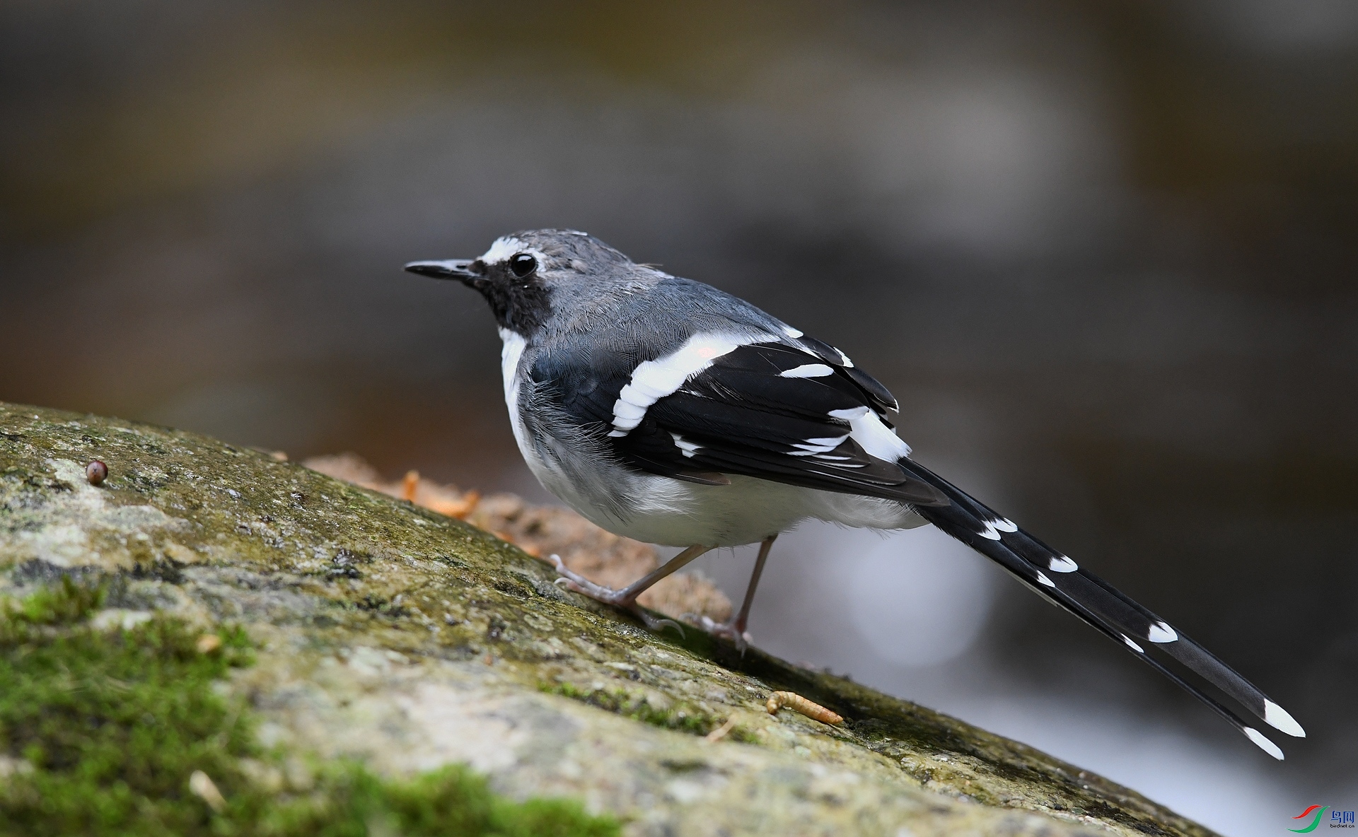 DSC_7254.jpg