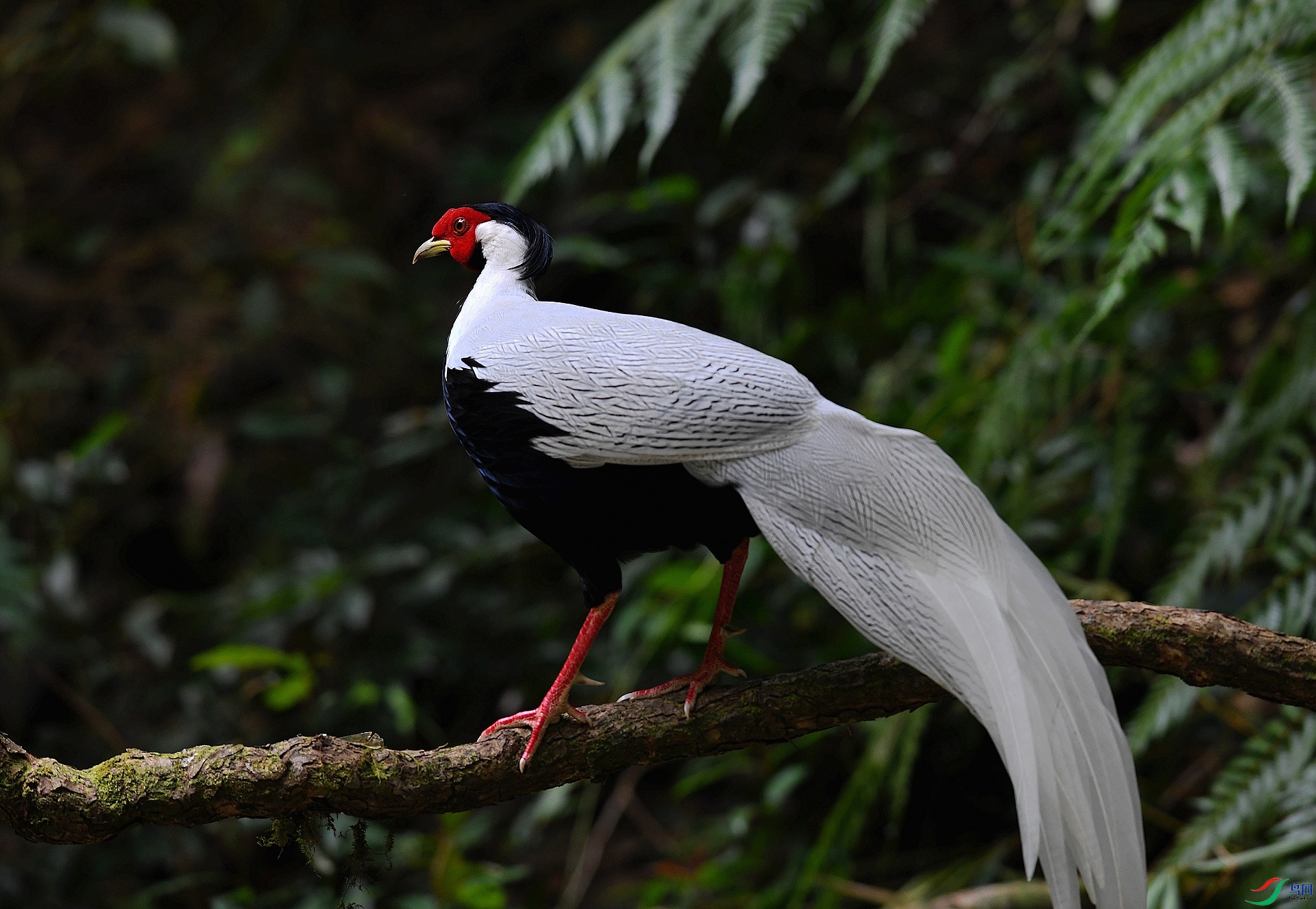 DSC_8781.jpg