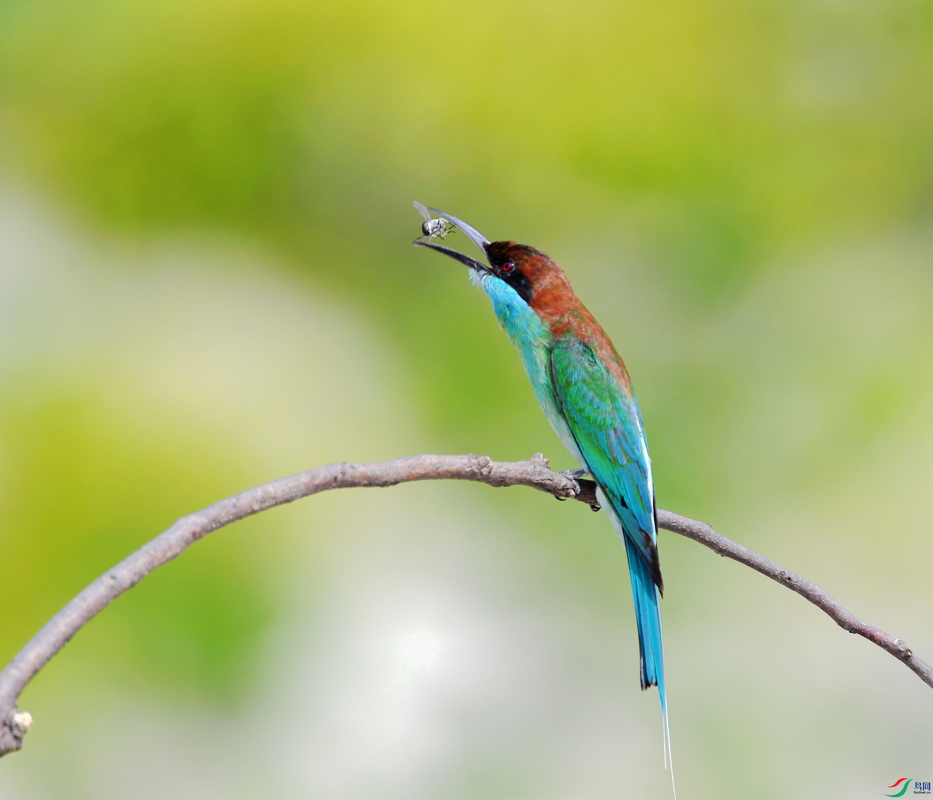 DSC_8295.jpg