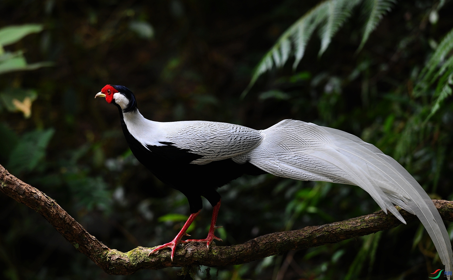 DSC_8793.jpg