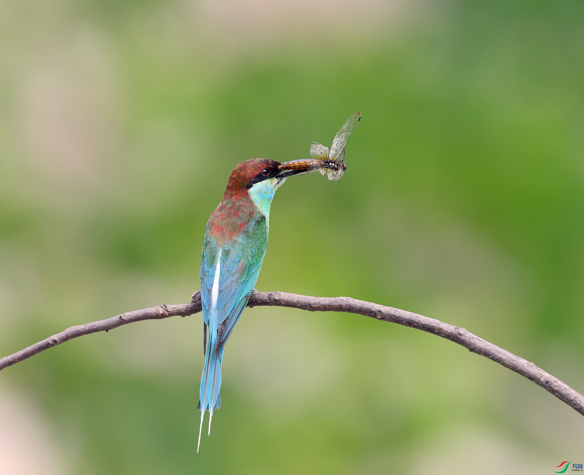 DSC_1125.jpg