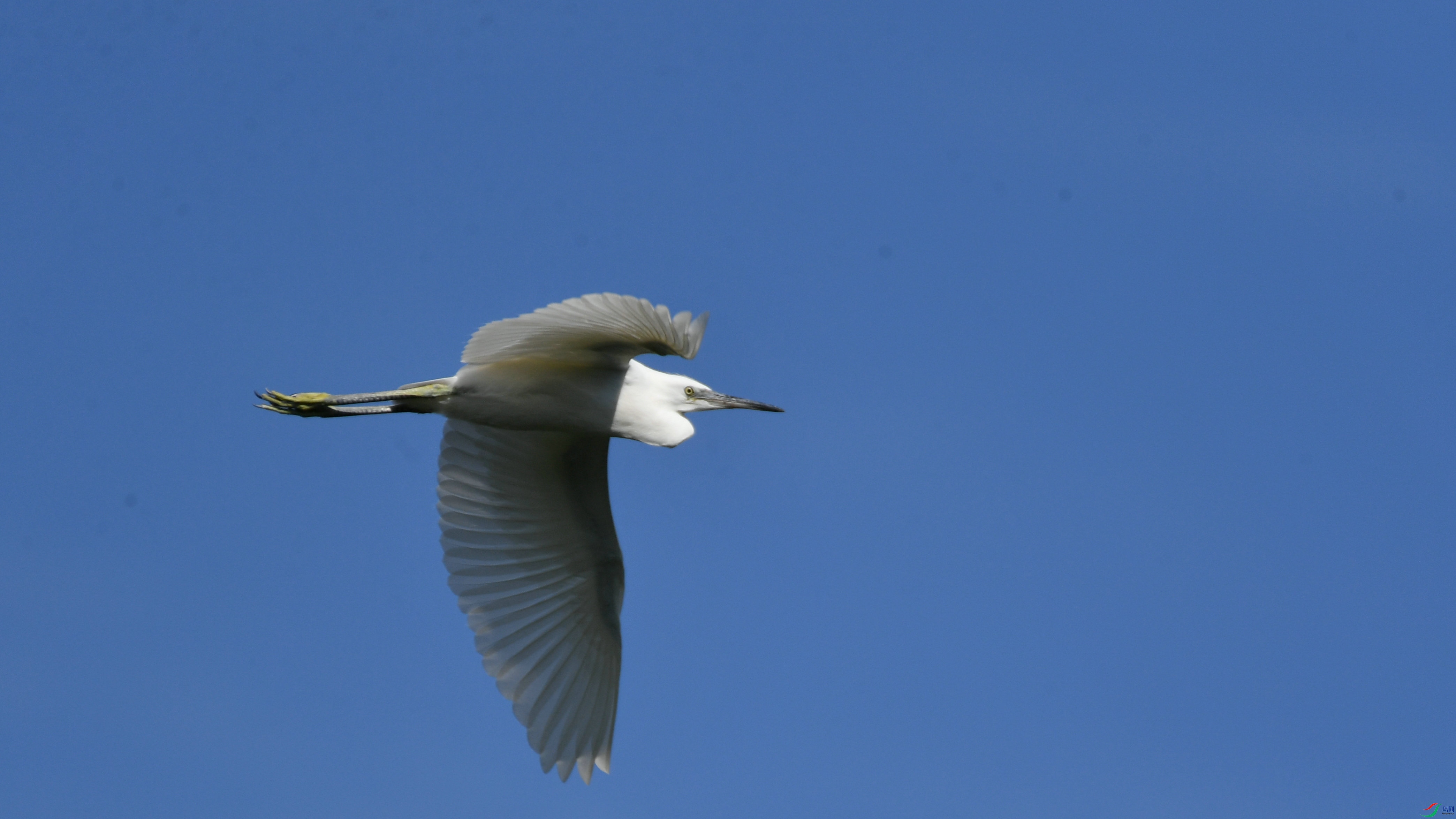 DSC_7367.JPG