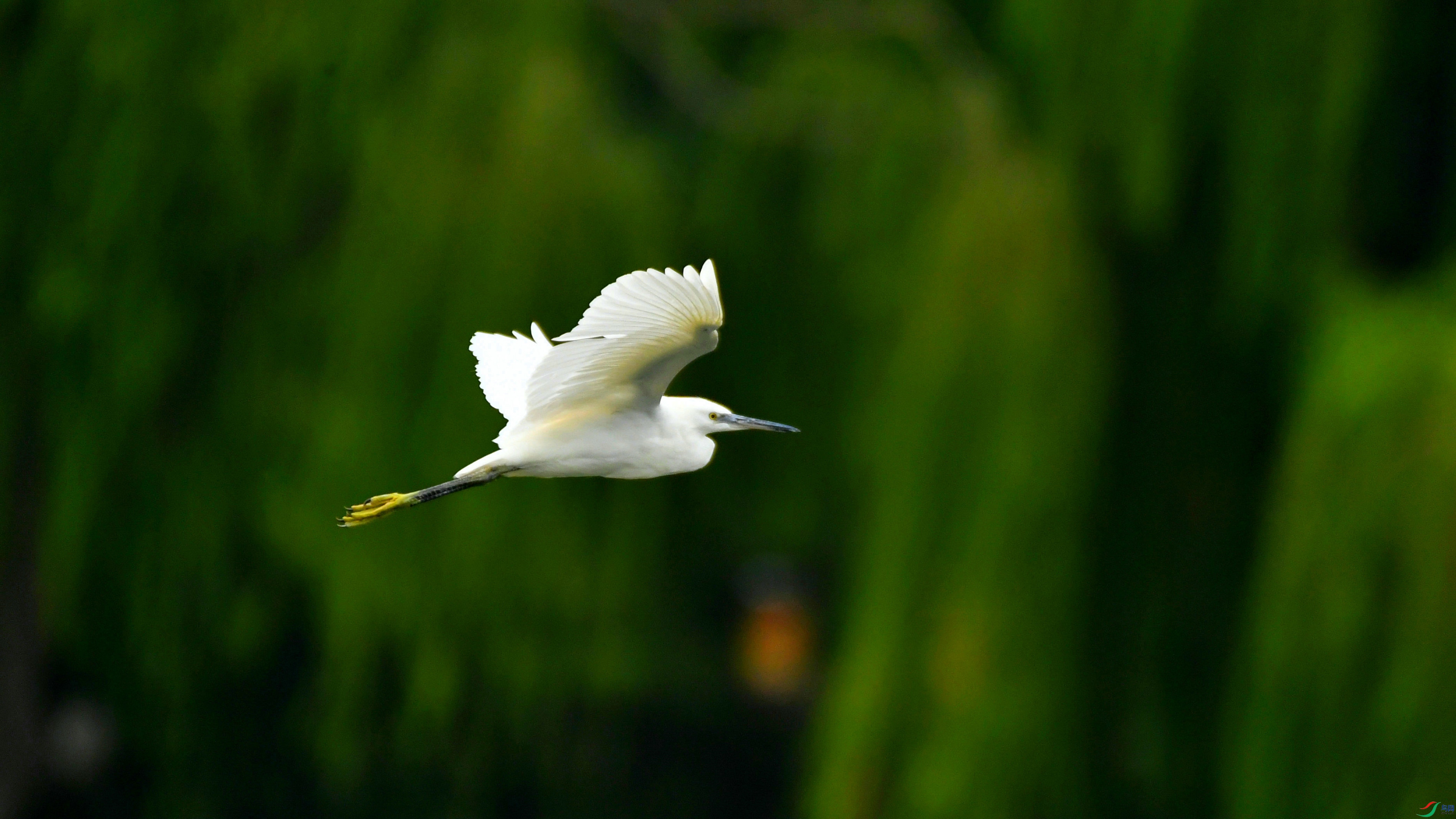 DSC_7965.JPG