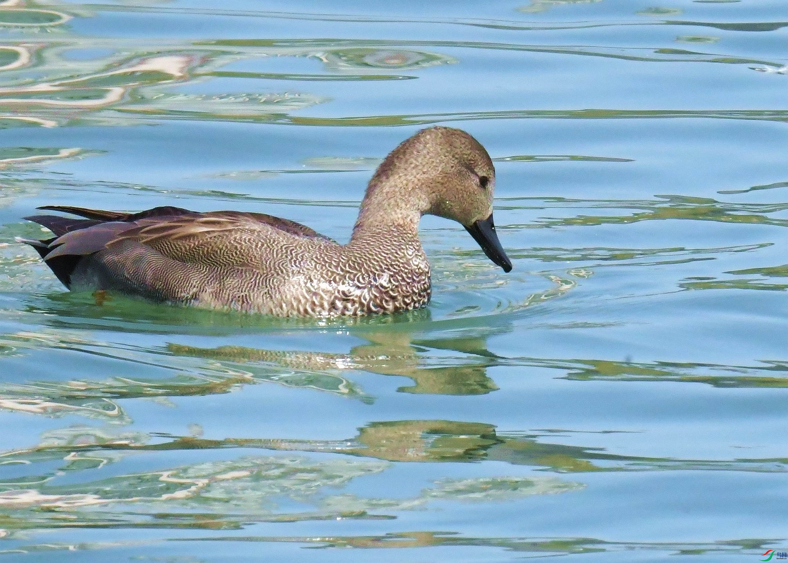 DSC_8644.JPG