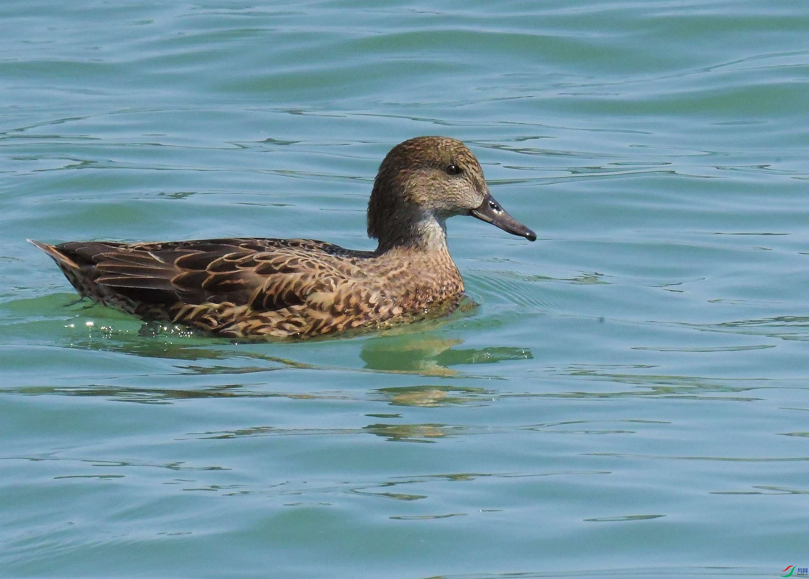 DSC_8715.JPG