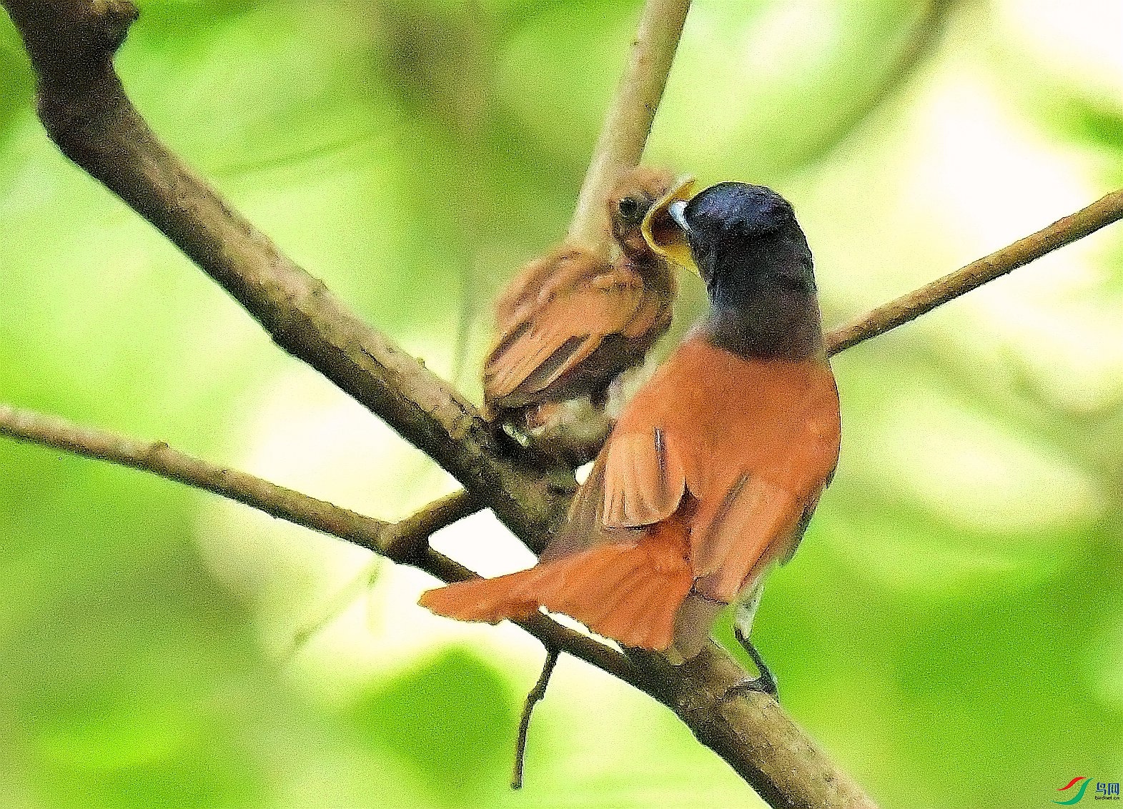 DSC_6426.JPG