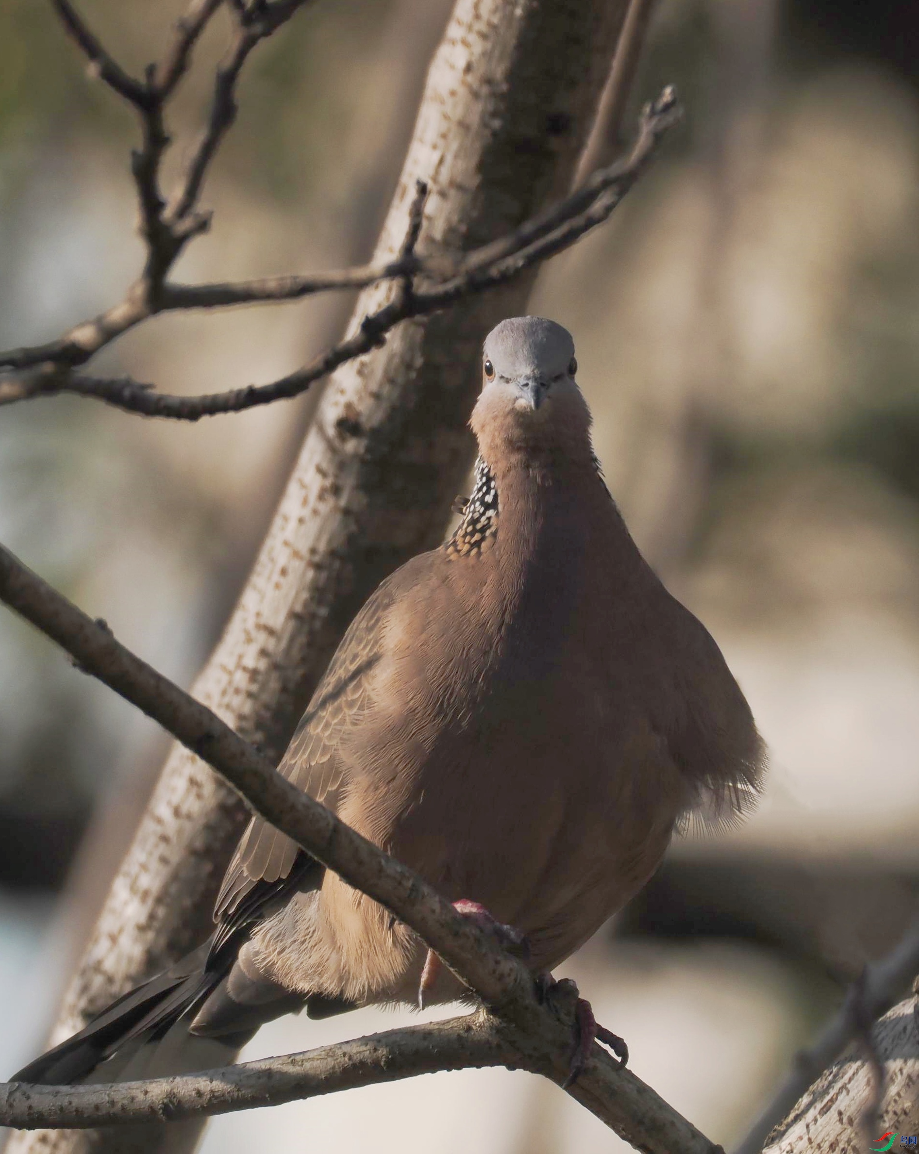 P2031084(1).jpg