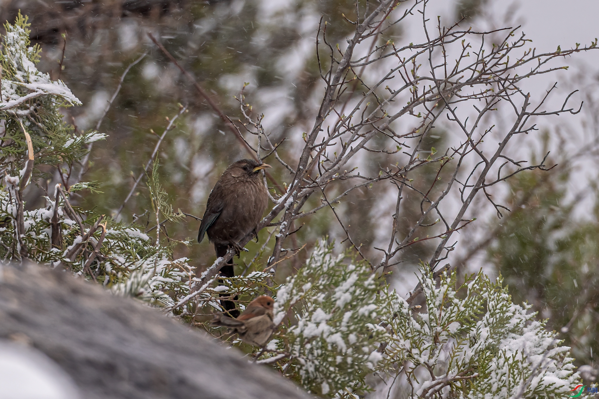 DSC_2865-11.jpg