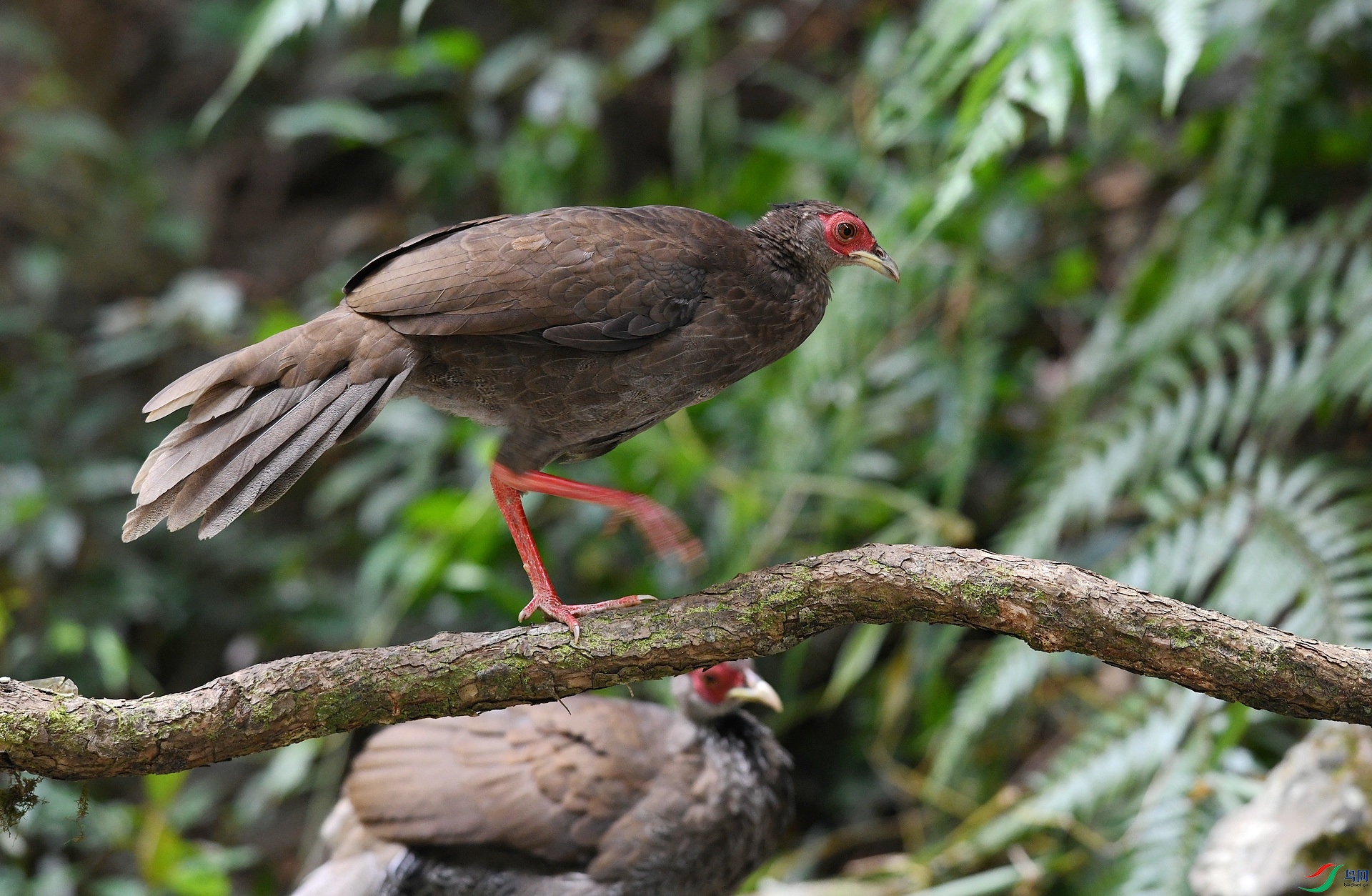 DSC_9051.jpg