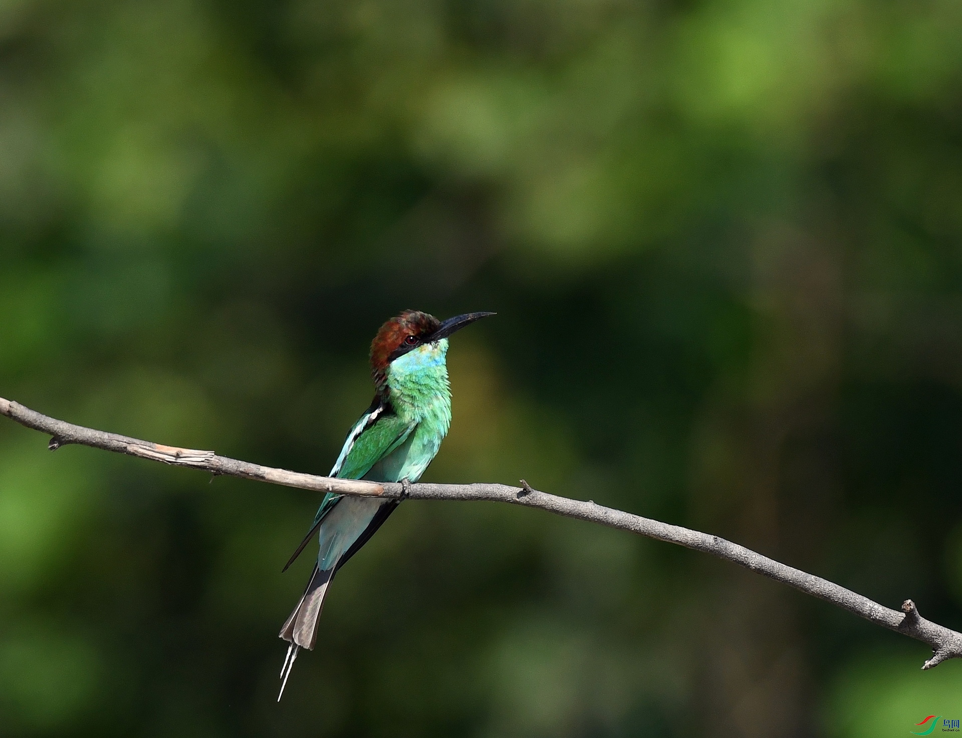 DSC_9011.jpg