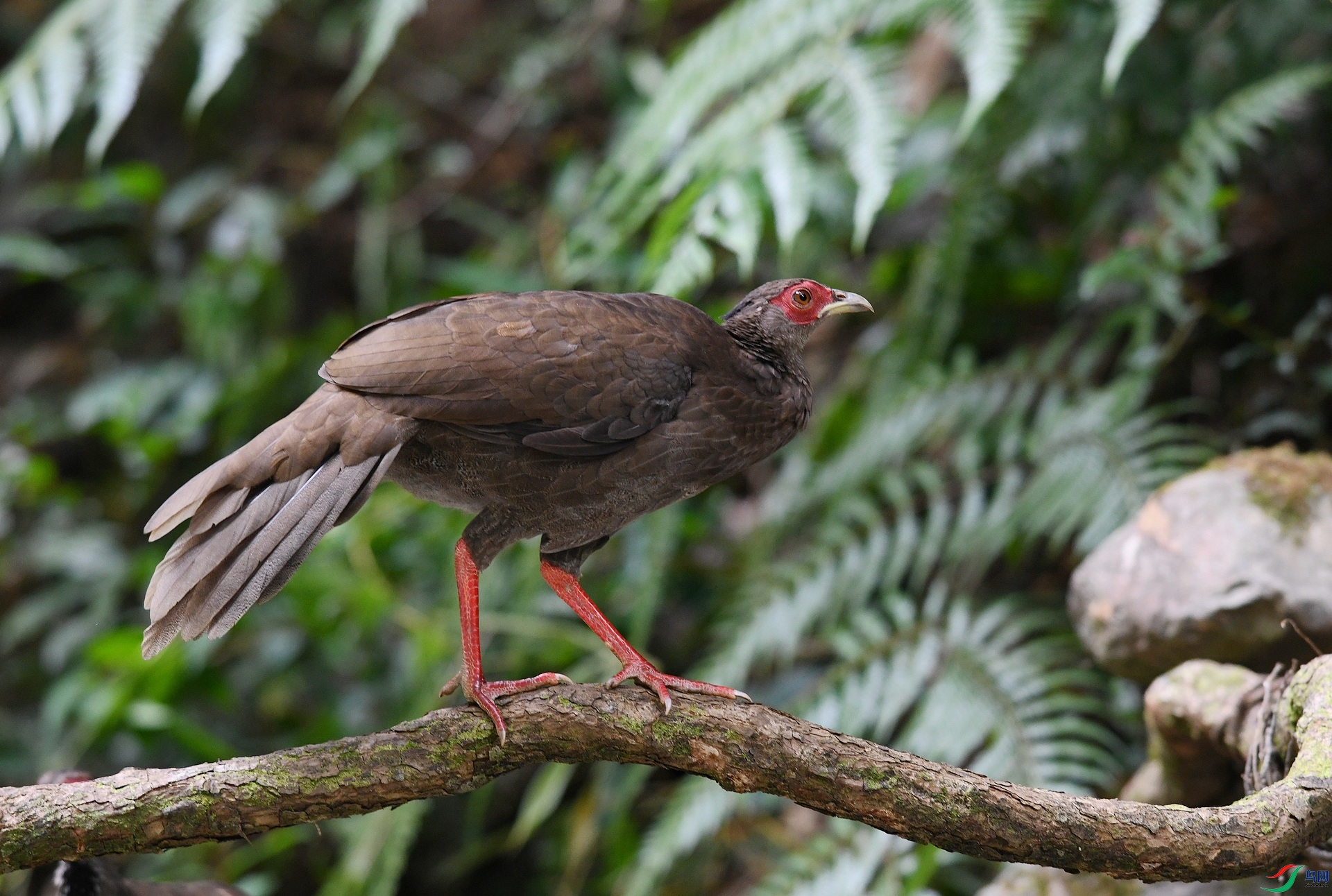 DSC_9057.jpg
