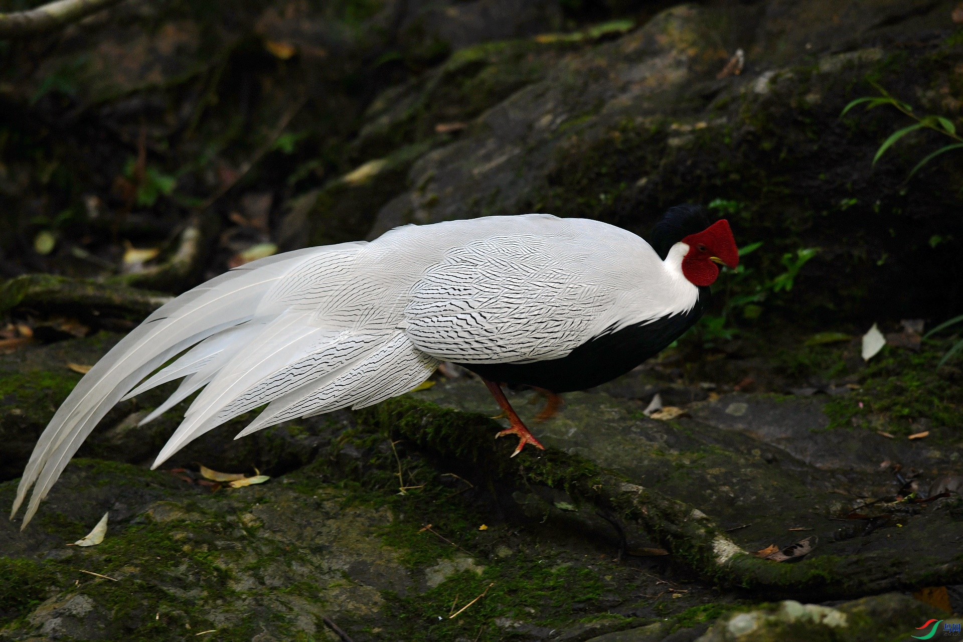 DSC_8310.jpg