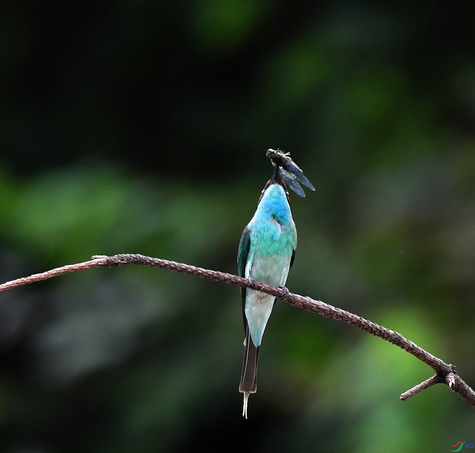 DSC_5072.jpg