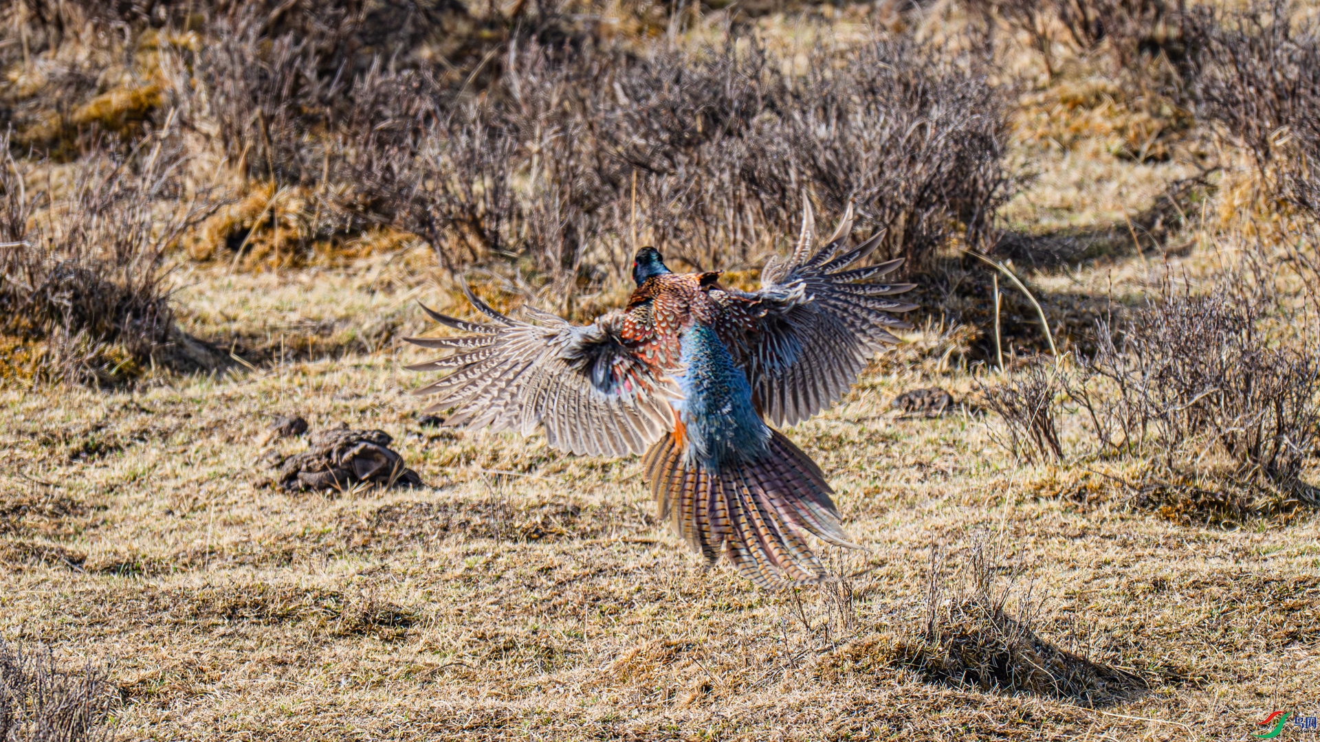 _DSC5735-1_����.jpg