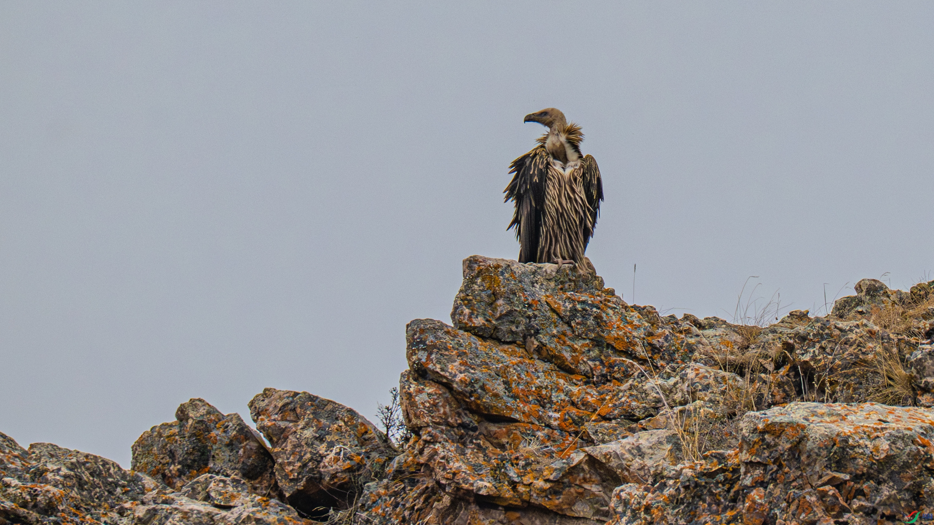 _DSC8019-1.jpg