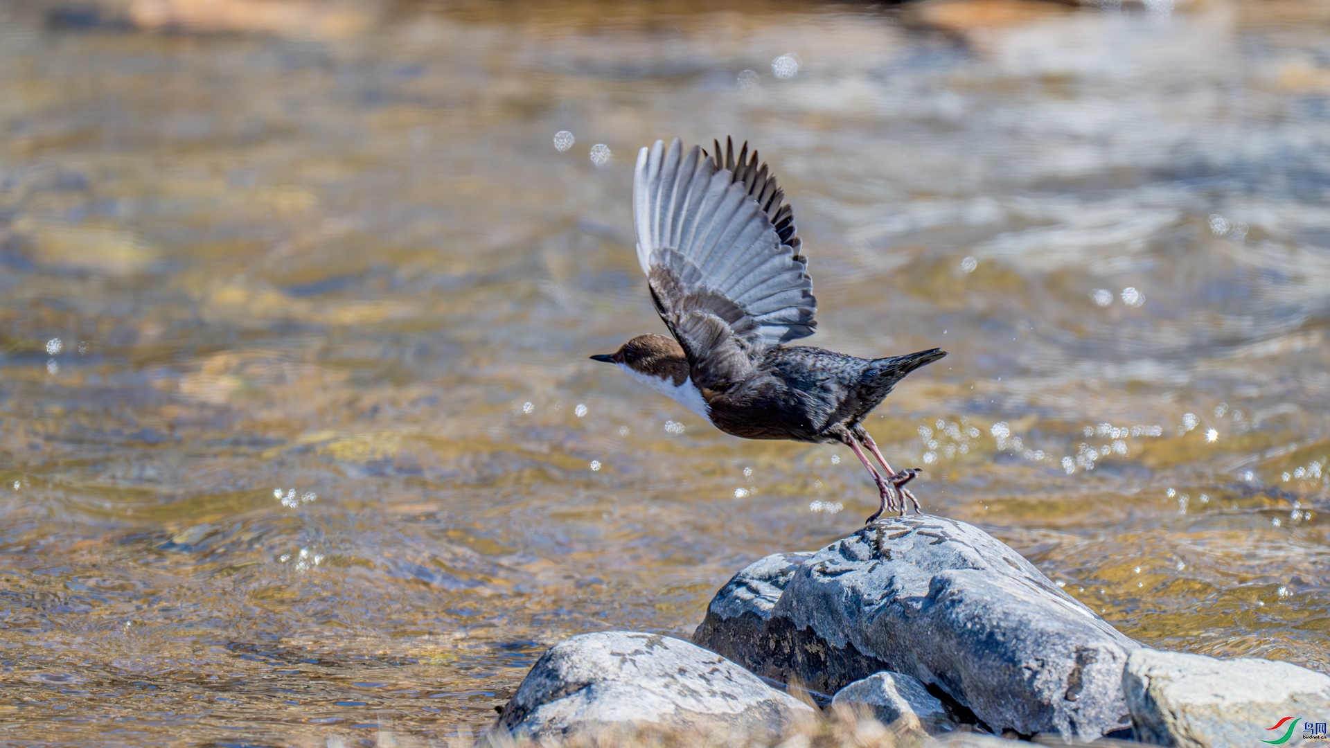 _DSC6010-1_����.jpg