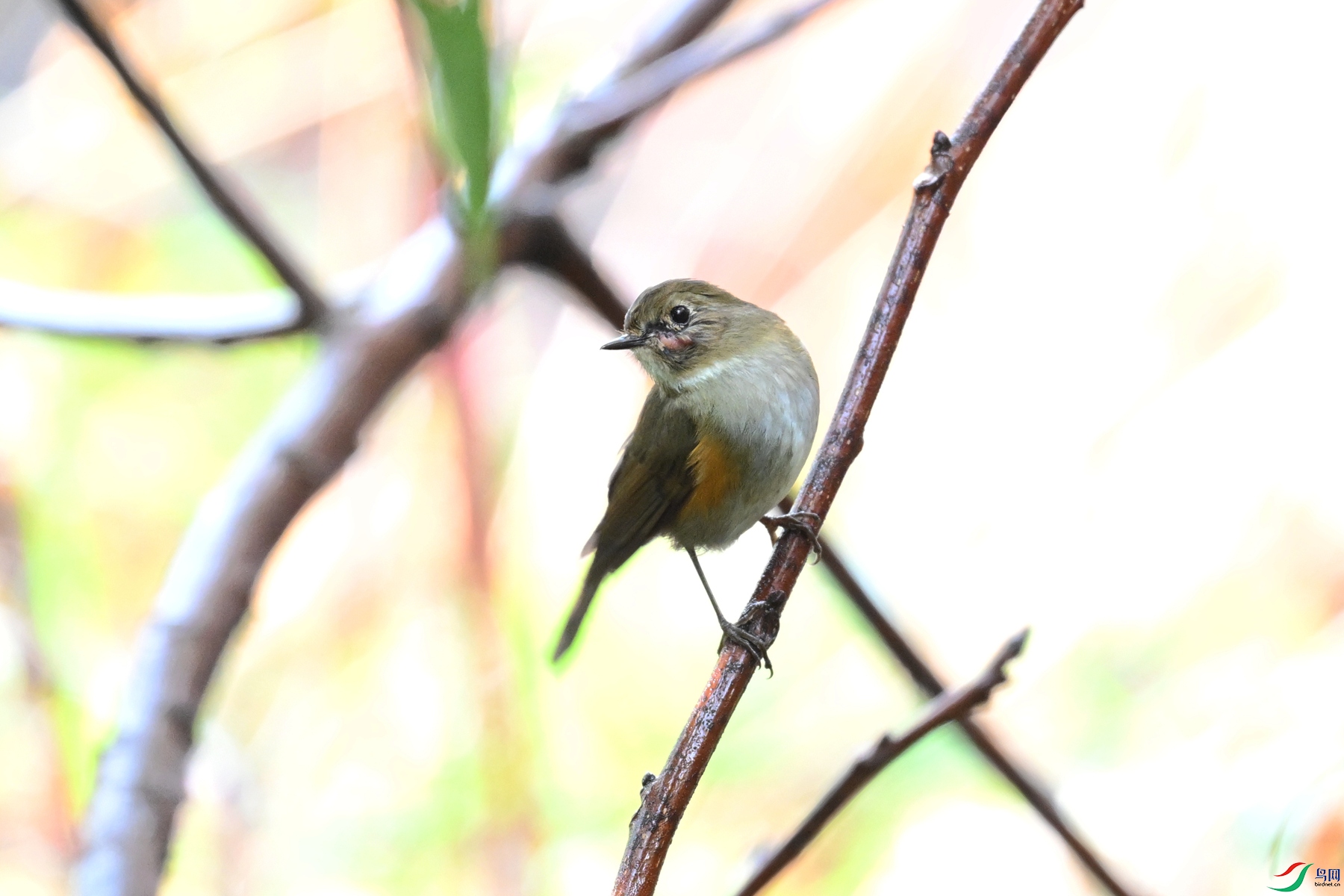DSC_6926.JPG