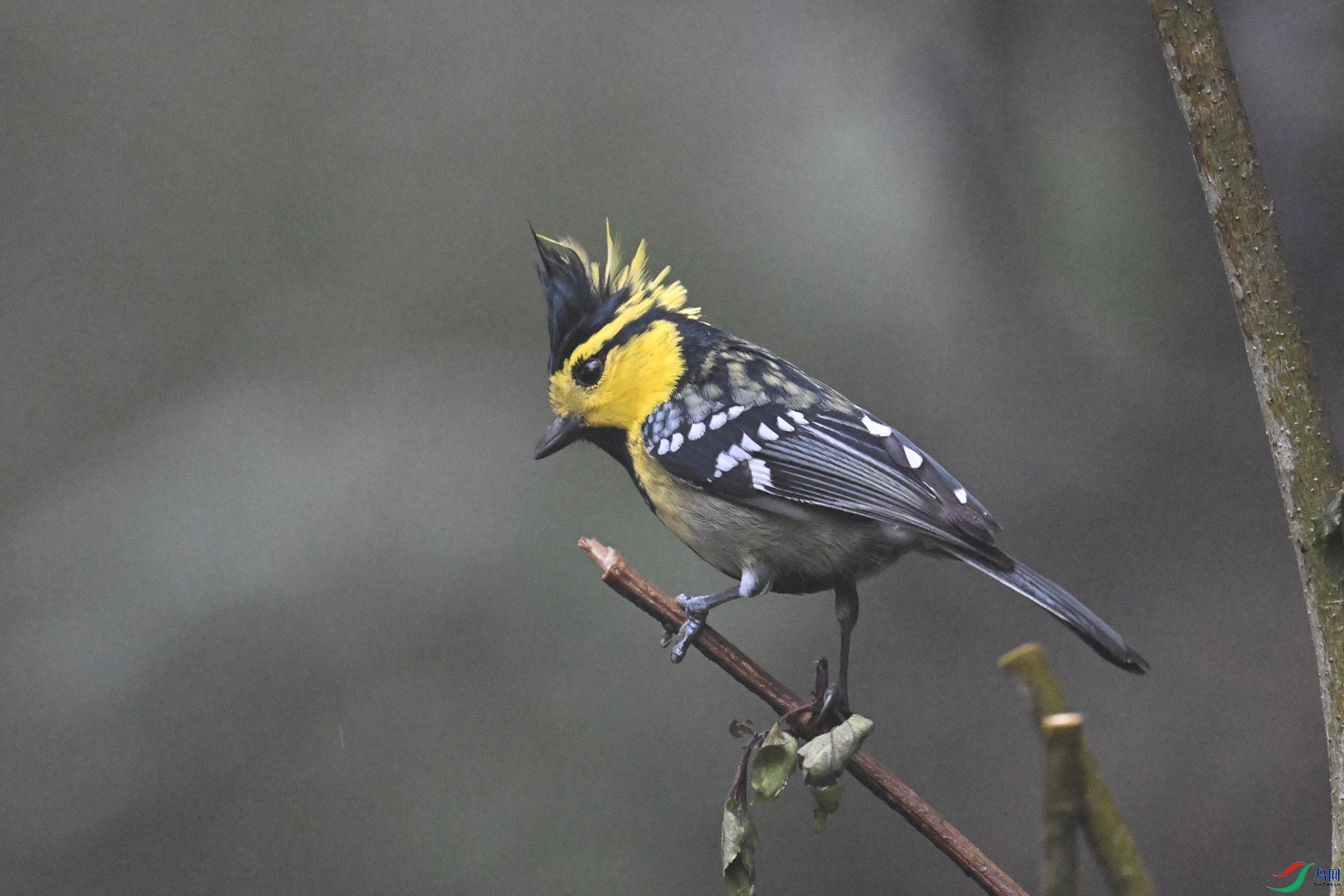 DSC_6879.JPG
