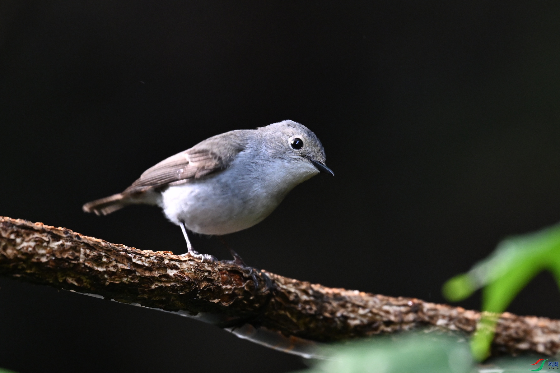 DSC_6949.JPG