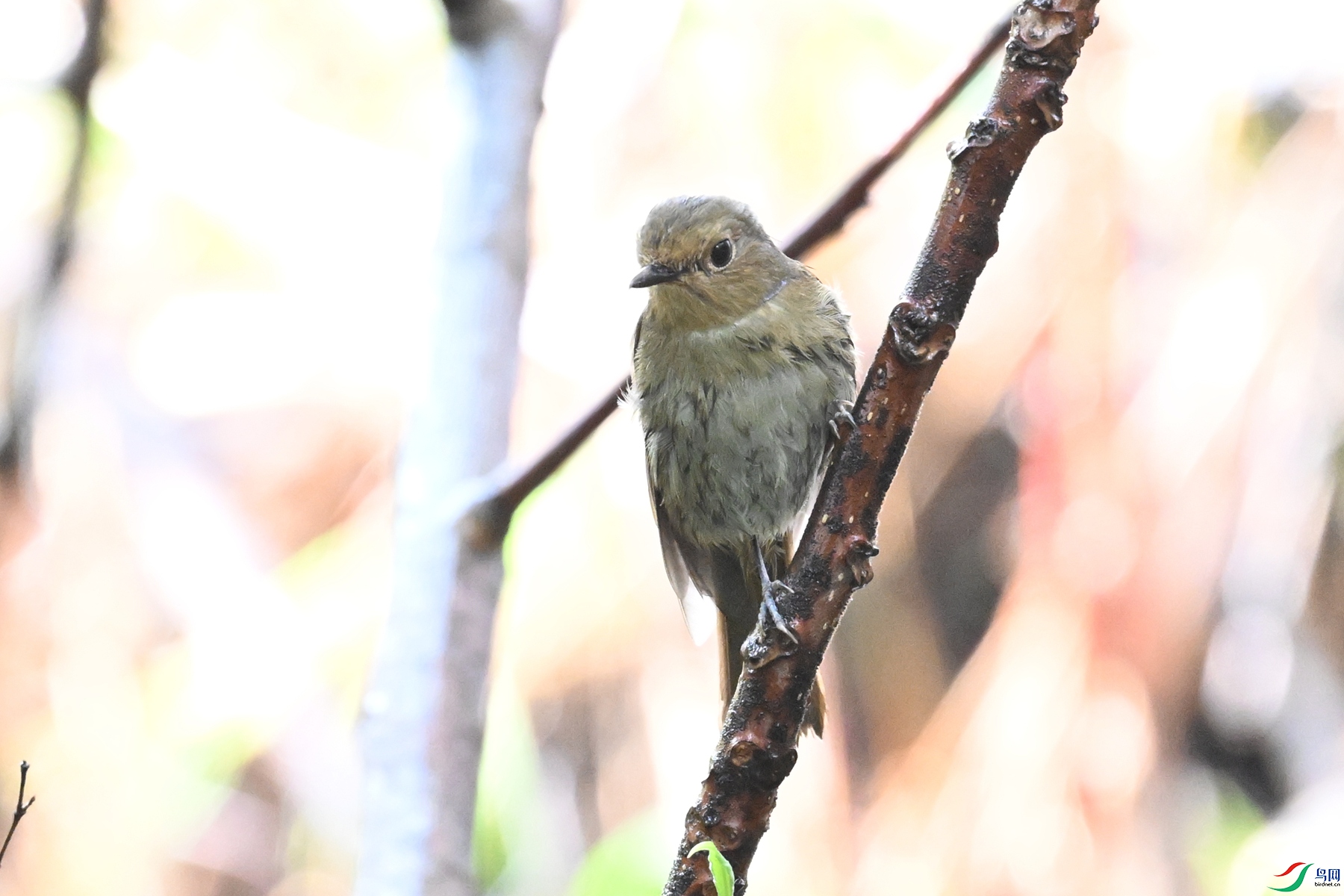 DSC_6938.JPG