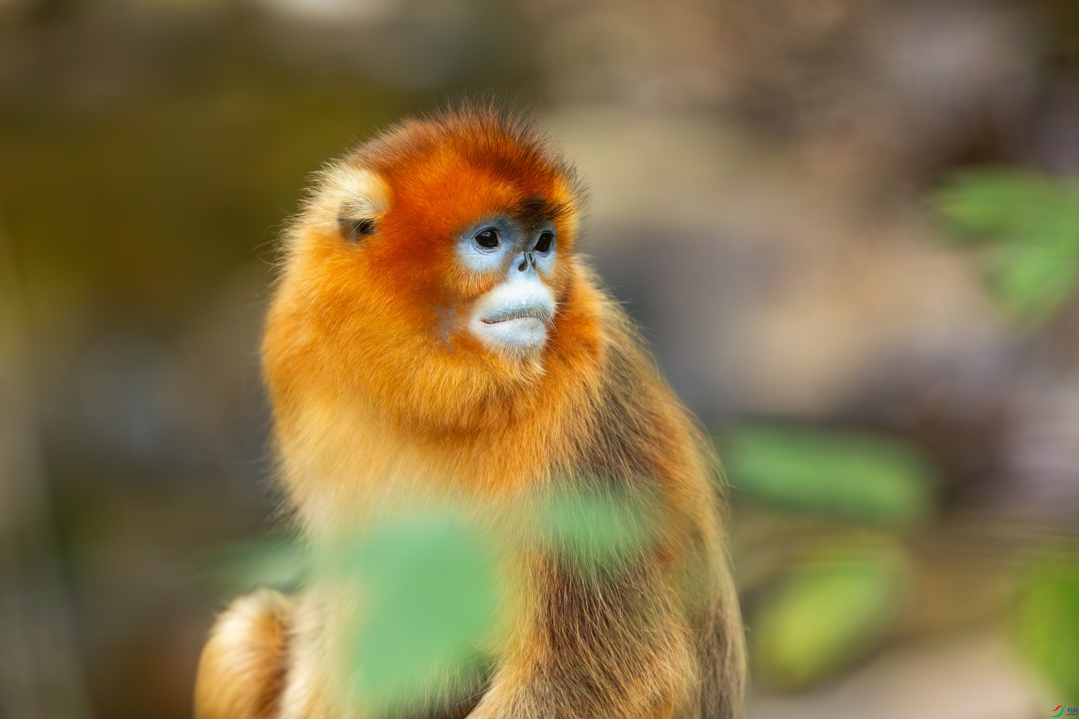 _30V0280-1��.jpg