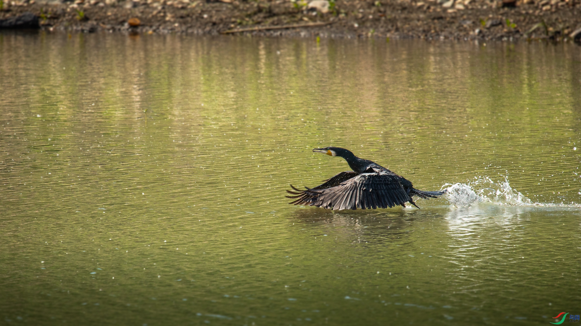 A48Z8604.jpg