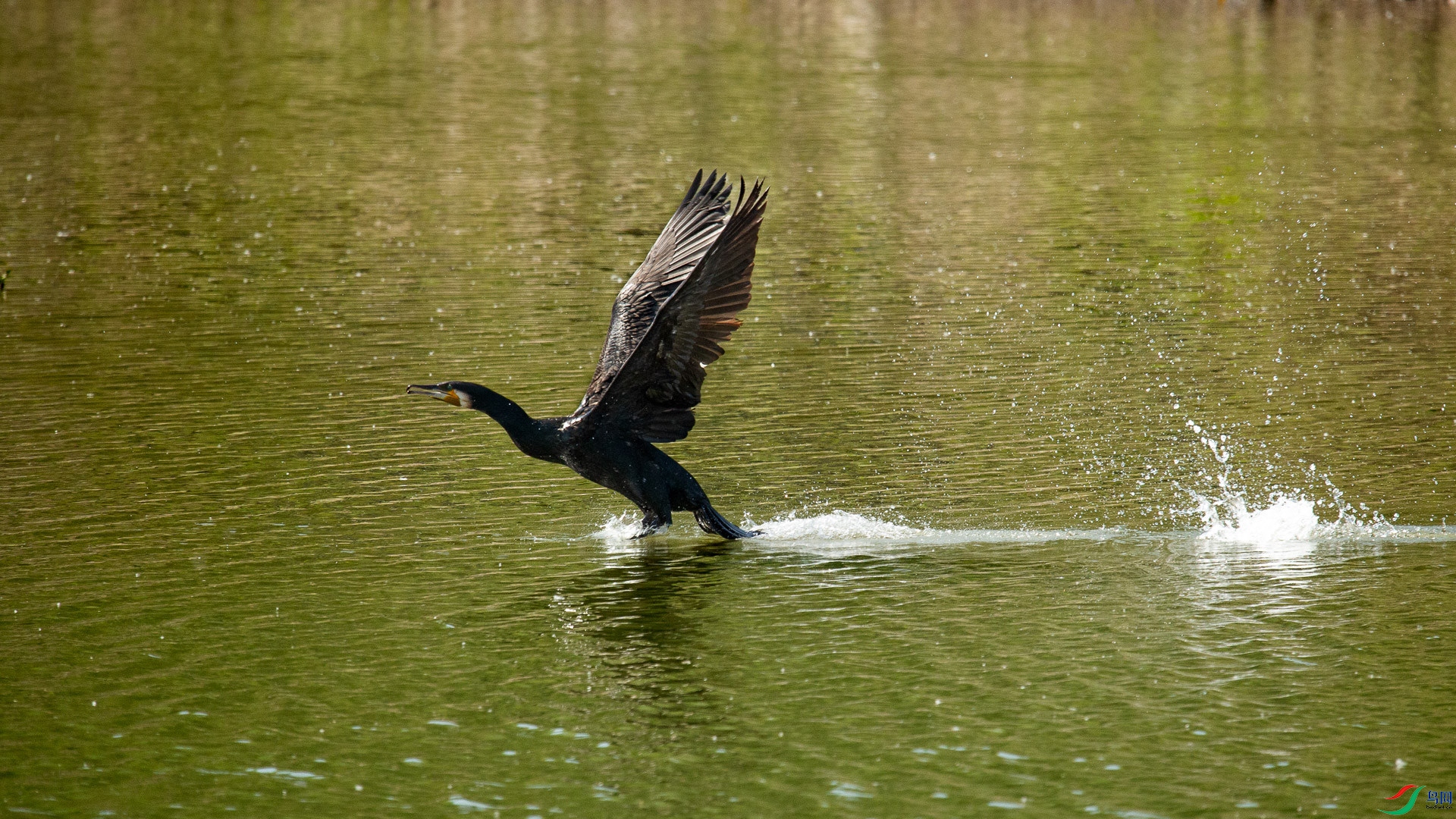 A48Z8612.jpg