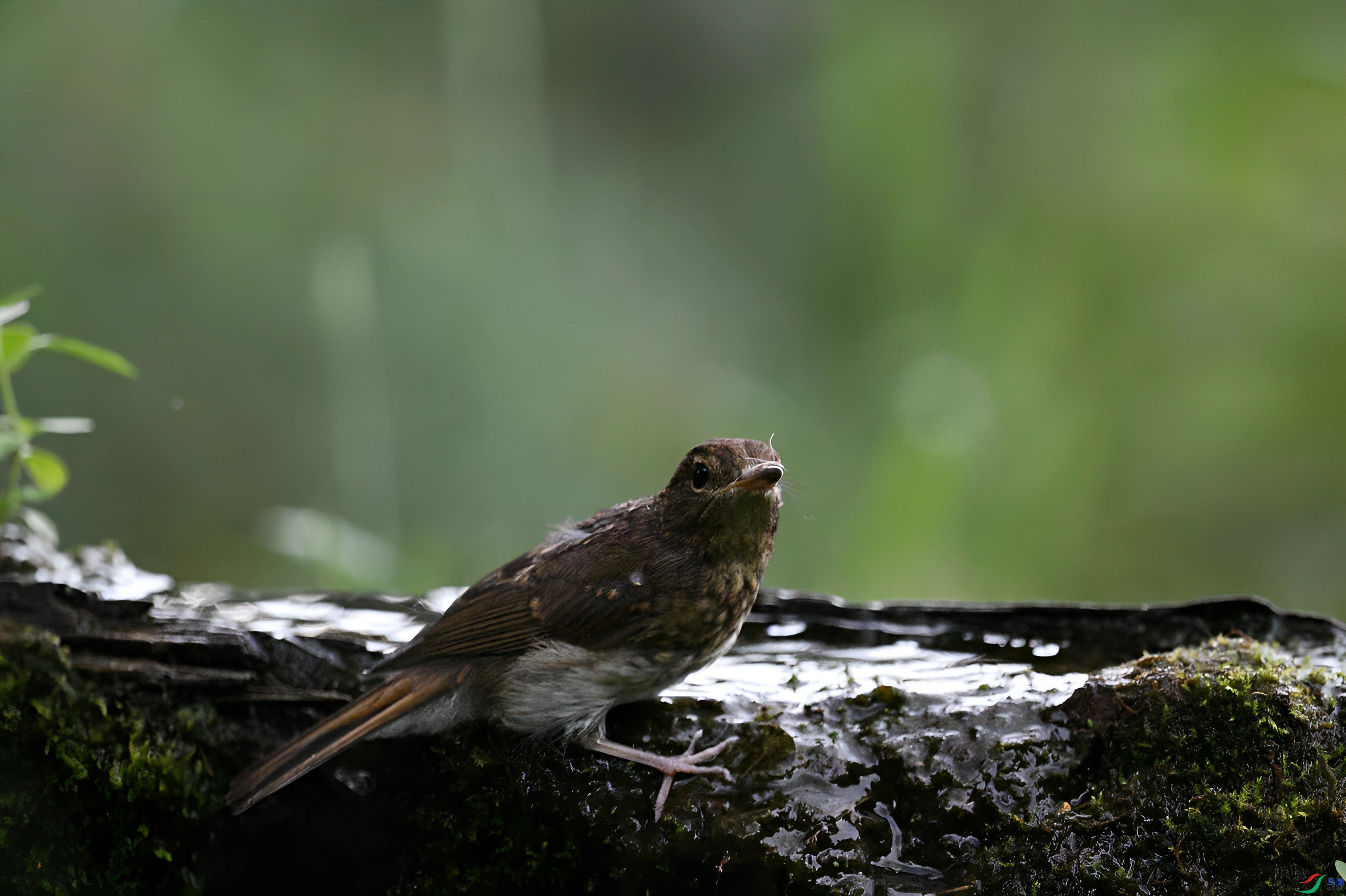 DSC_5584_����.jpg