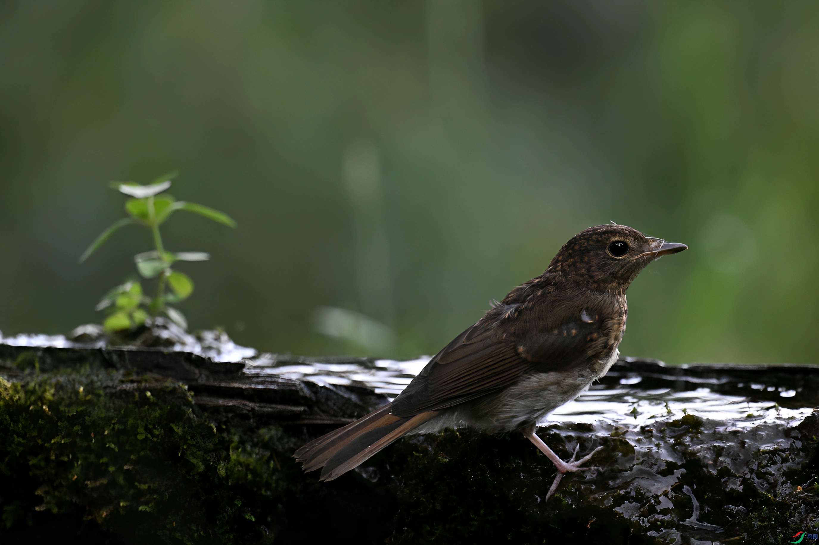 DSC_5583_����.jpg
