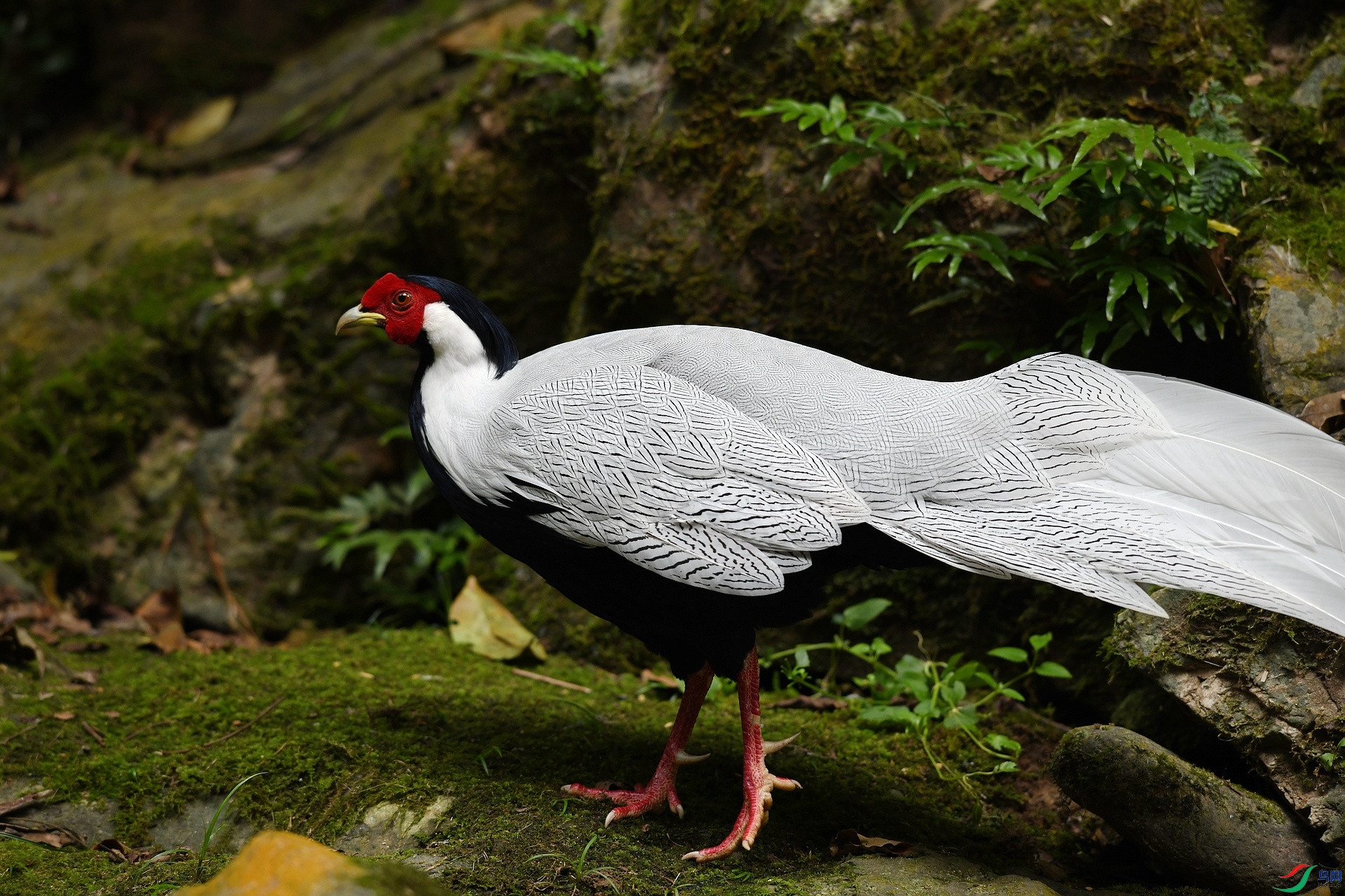 DSC_9140.jpg