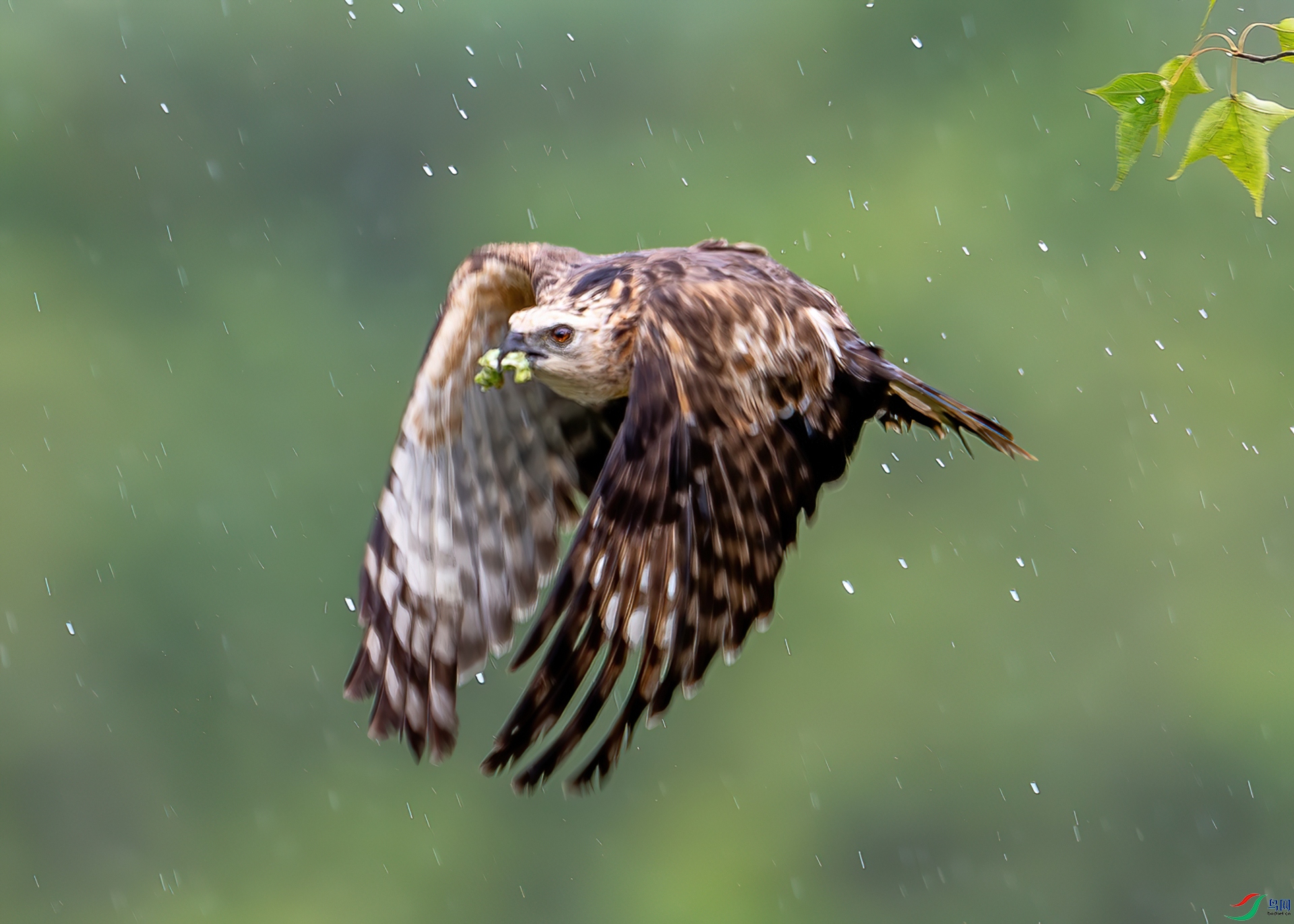 DSC_3327-2.jpg