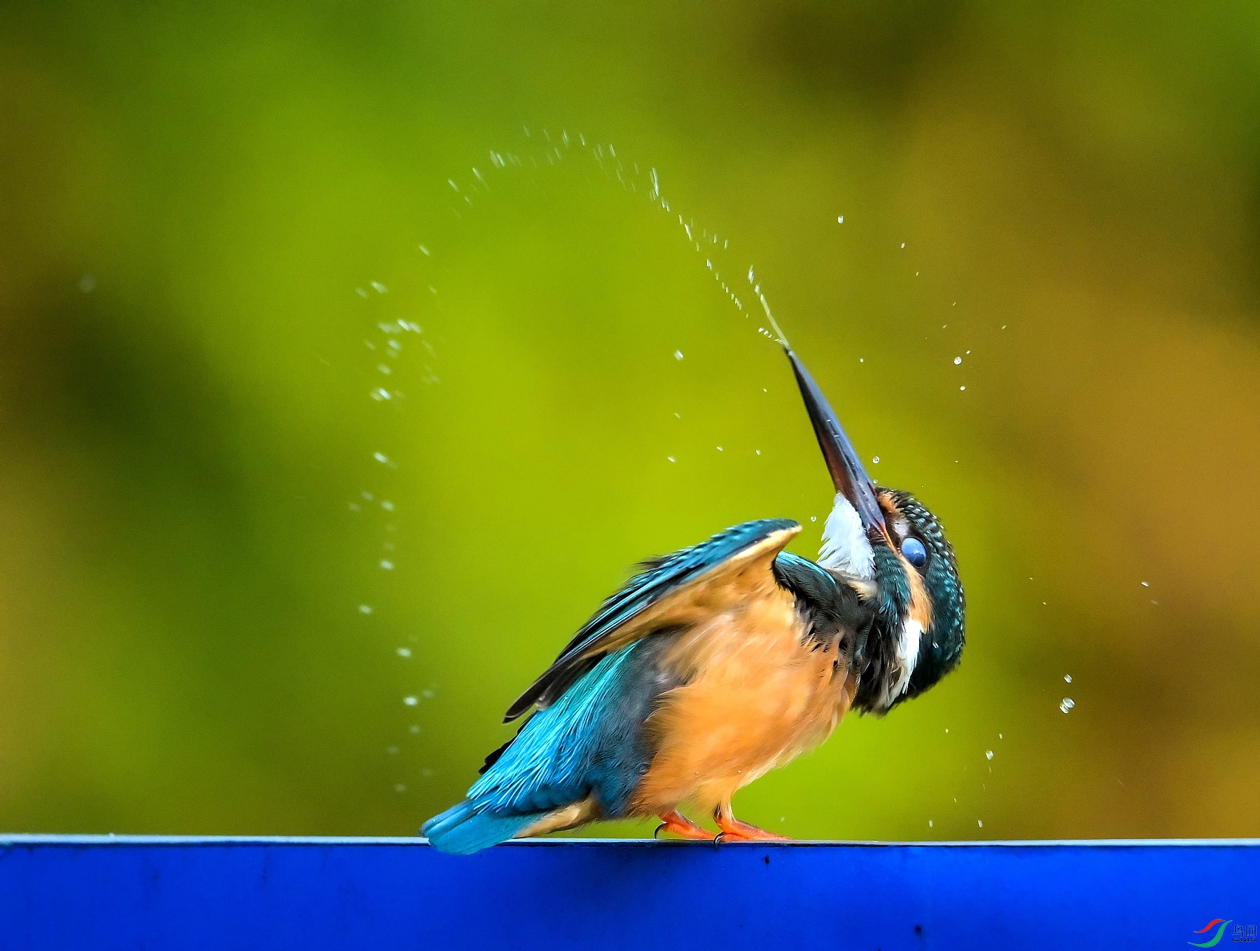 DSC_1757˦.jpg