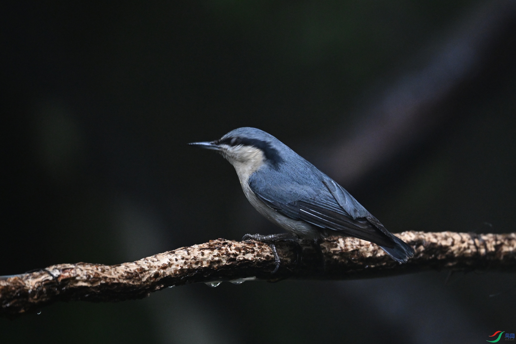 DSC_6906.JPG